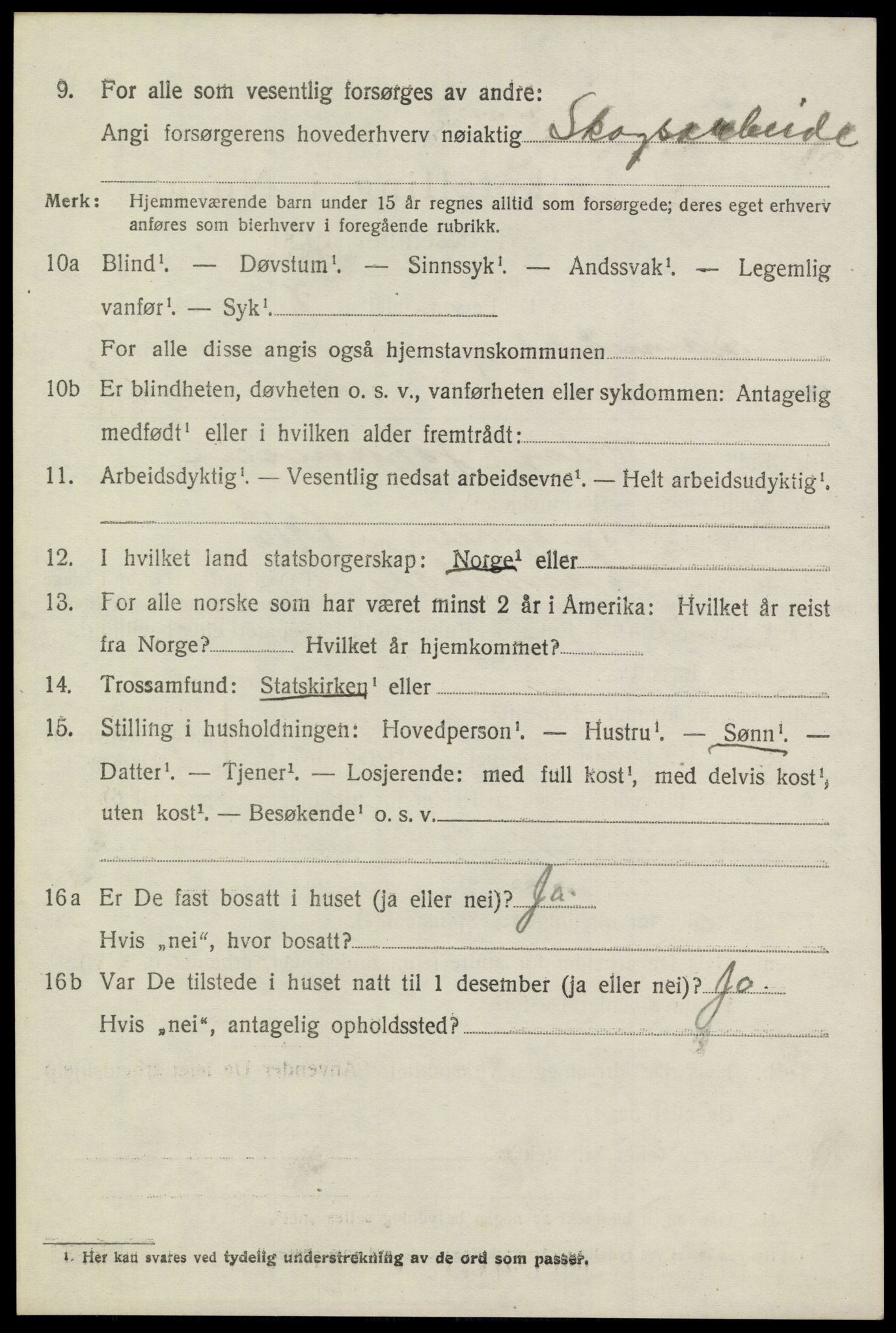 SAKO, 1920 census for Sannidal, 1920, p. 1040