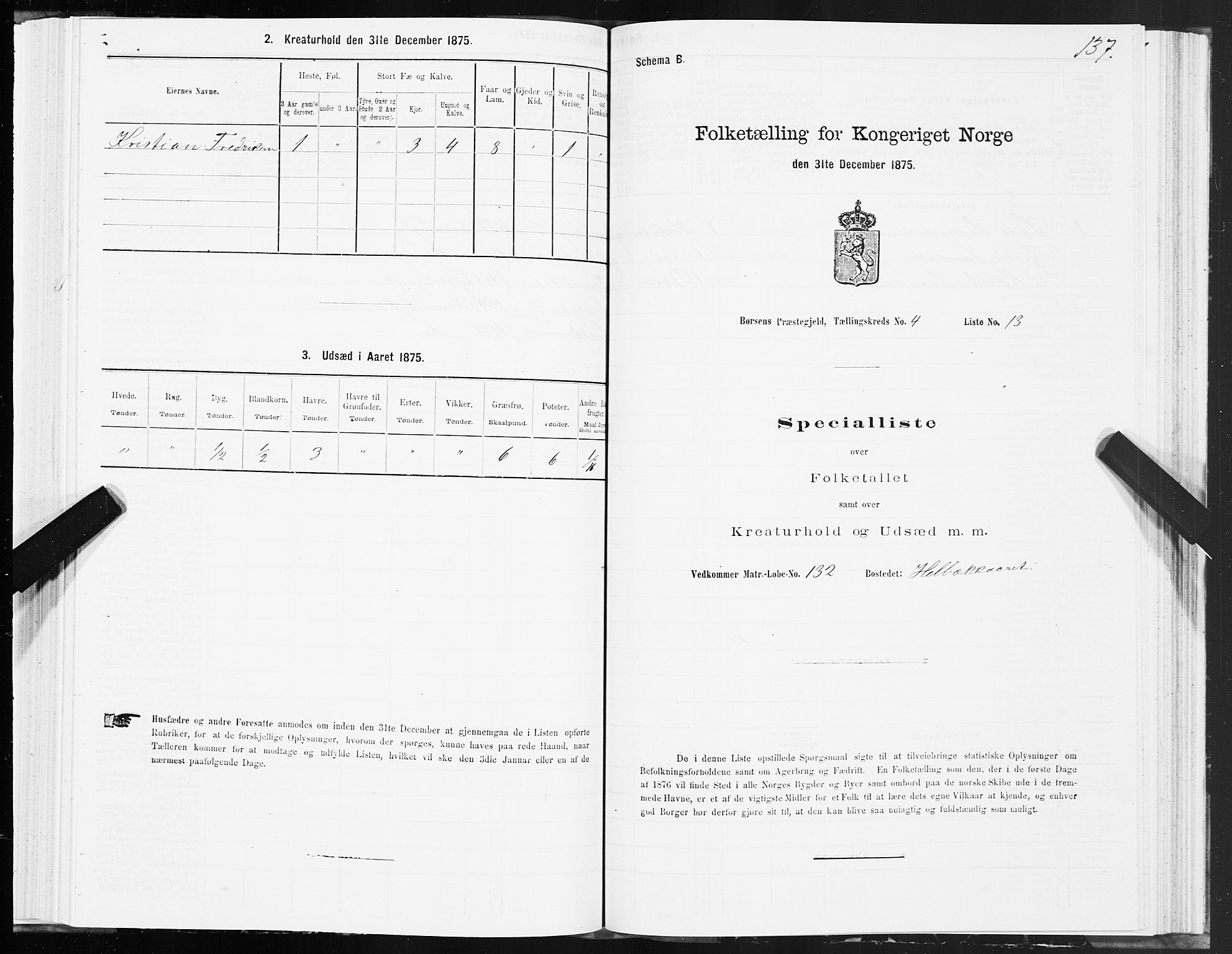 SAT, 1875 census for 1658P Børsa, 1875, p. 3137