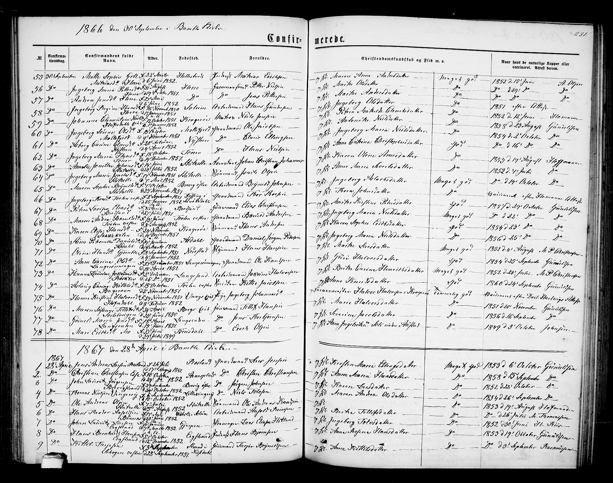 Bamble kirkebøker, SAKO/A-253/G/Ga/L0006: Parish register (copy) no. I 6, 1860-1876, p. 231