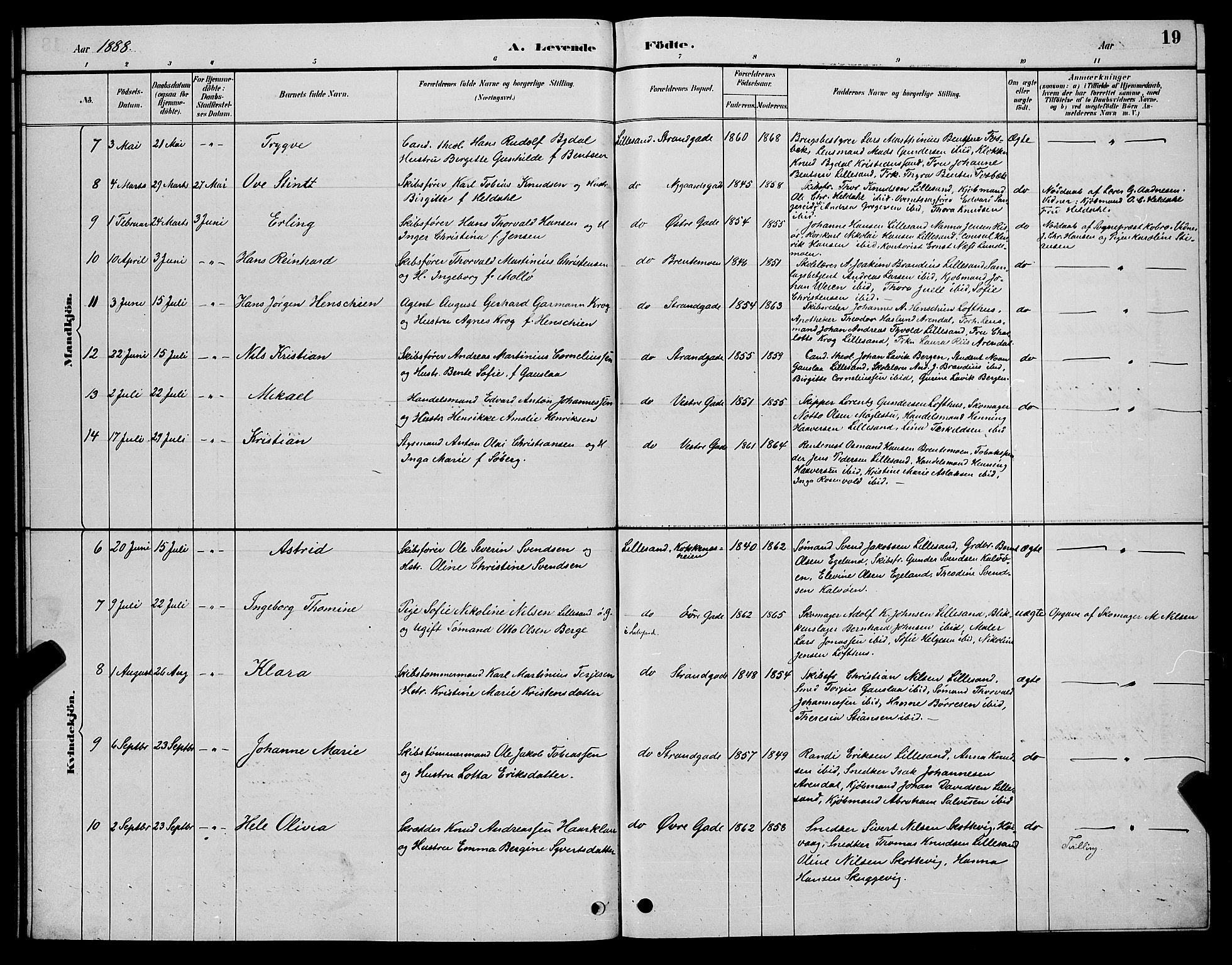 Vestre Moland sokneprestkontor, AV/SAK-1111-0046/F/Fb/Fba/L0001: Parish register (copy) no. B 1, 1884-1903, p. 19