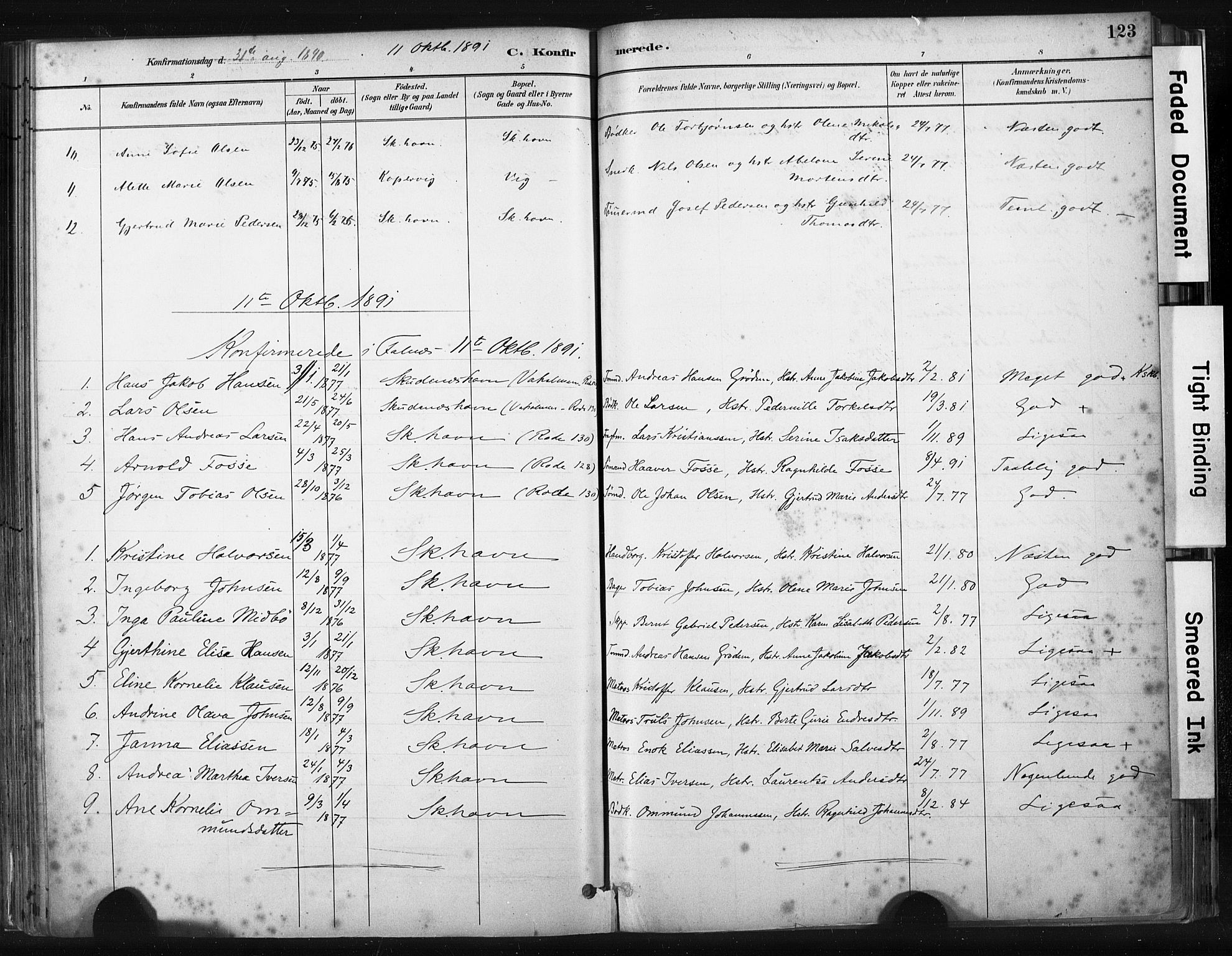 Skudenes sokneprestkontor, AV/SAST-A -101849/H/Ha/Haa/L0008: Parish register (official) no. A 5, 1882-1912, p. 123