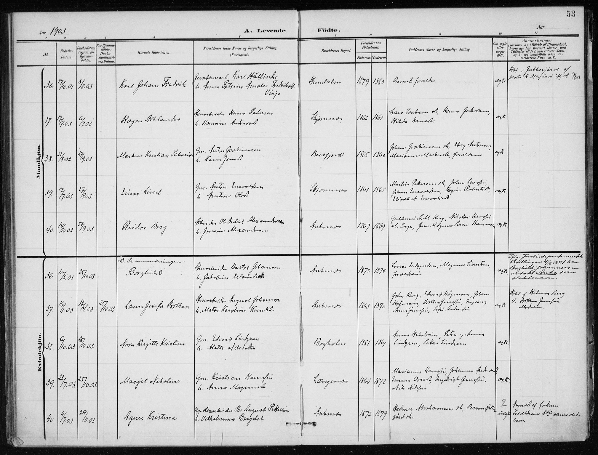 Ministerialprotokoller, klokkerbøker og fødselsregistre - Nordland, SAT/A-1459/866/L0941: Parish register (official) no. 866A04, 1901-1917, p. 53