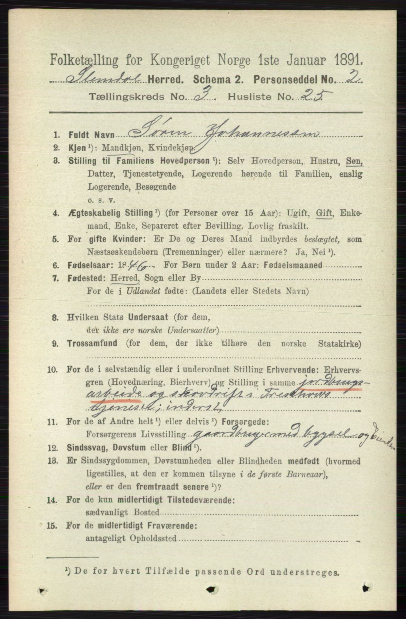 RA, 1891 census for 0811 Slemdal, 1891, p. 911