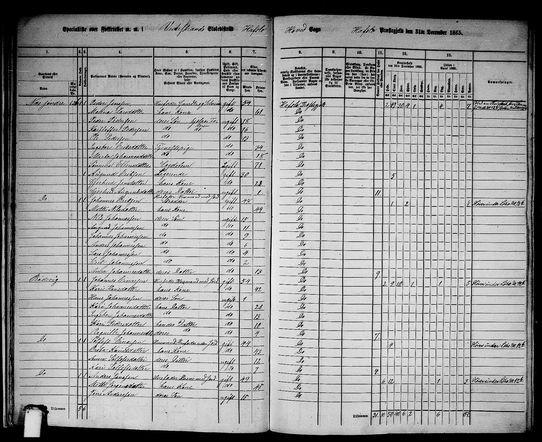 RA, 1865 census for Hafslo, 1865, p. 16