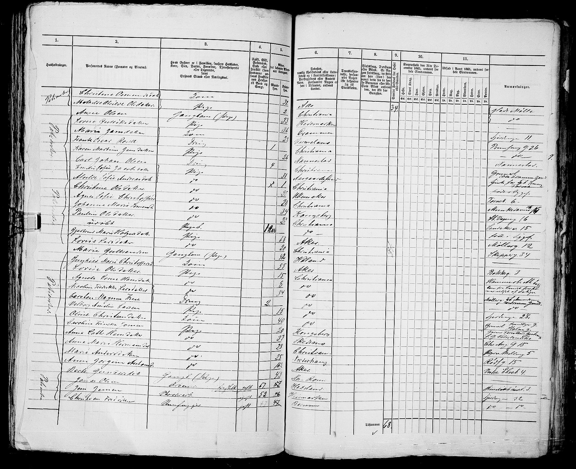 RA, 1865 census for Kristiania, 1865, p. 1031