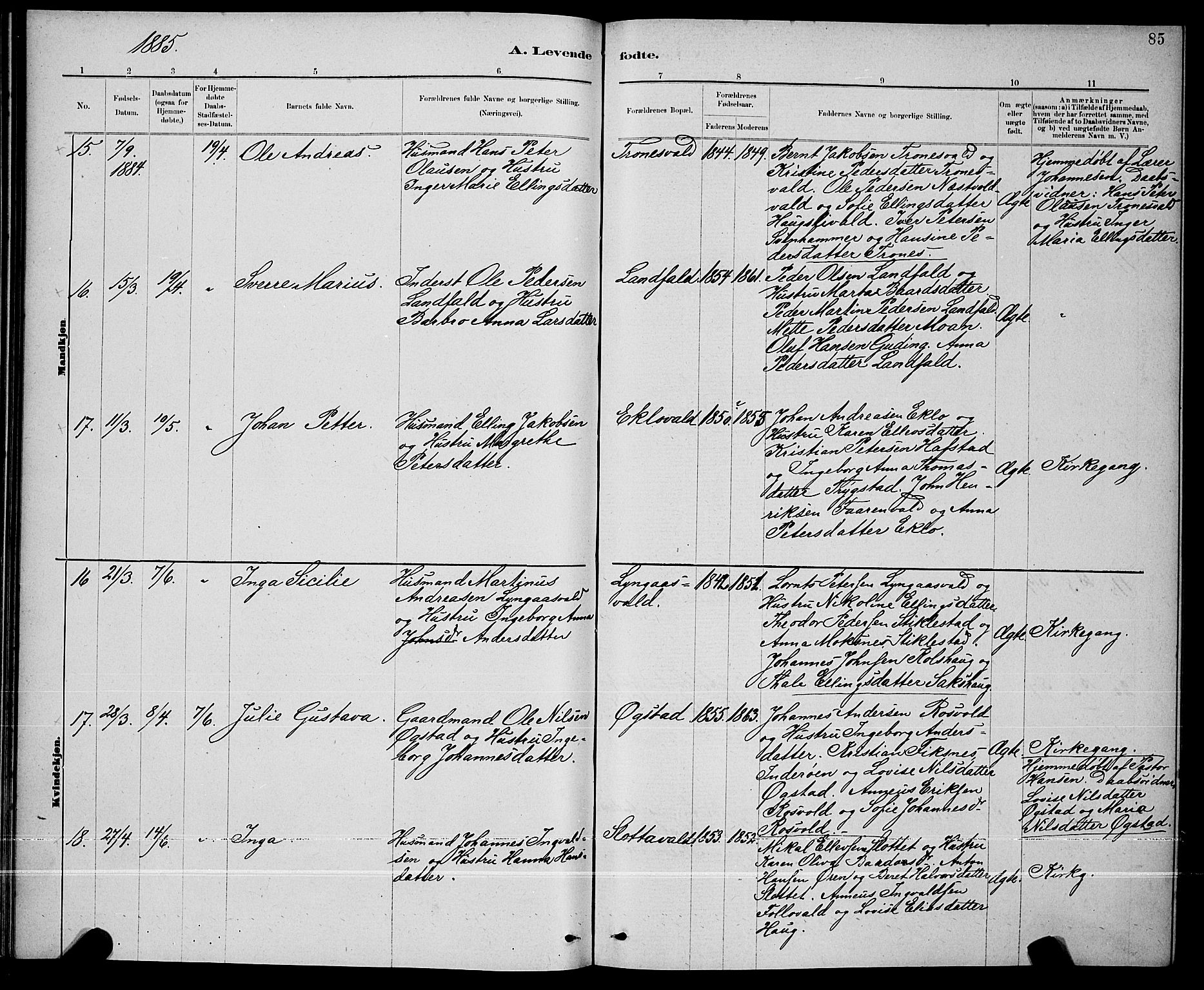 Ministerialprotokoller, klokkerbøker og fødselsregistre - Nord-Trøndelag, SAT/A-1458/723/L0256: Parish register (copy) no. 723C04, 1879-1890, p. 85