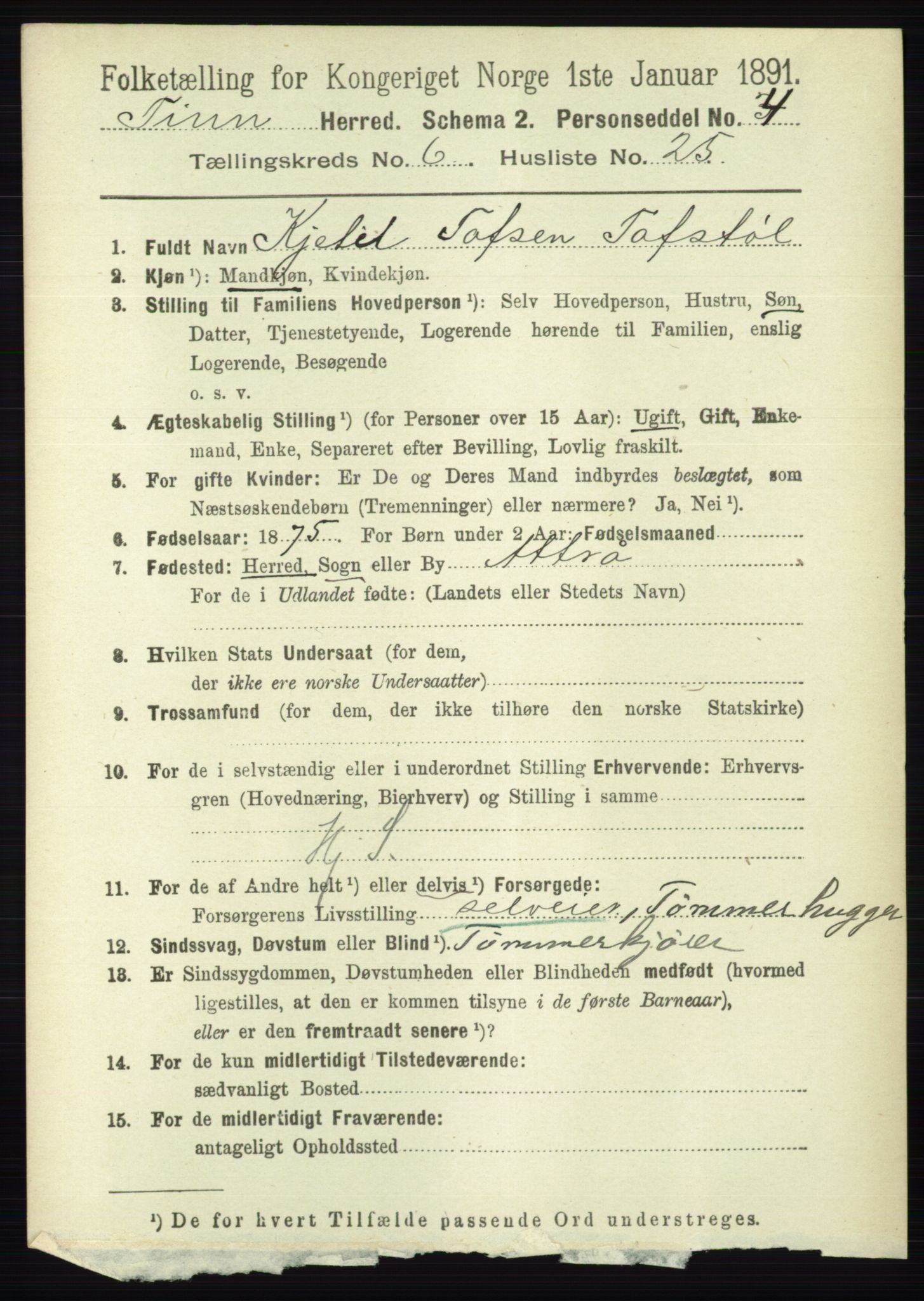 RA, 1891 census for 0826 Tinn, 1891, p. 1390