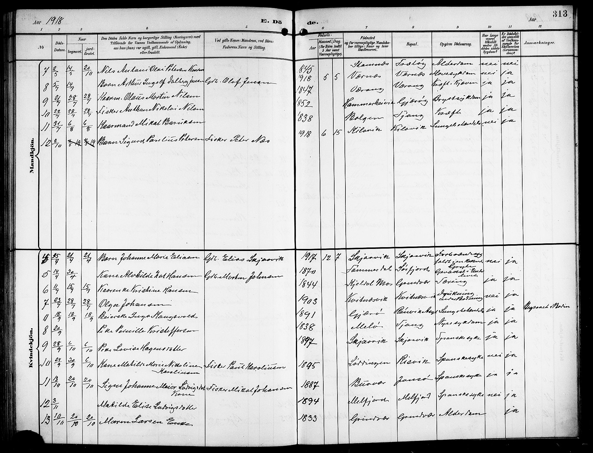 Ministerialprotokoller, klokkerbøker og fødselsregistre - Nordland, AV/SAT-A-1459/841/L0621: Parish register (copy) no. 841C05, 1897-1923, p. 313