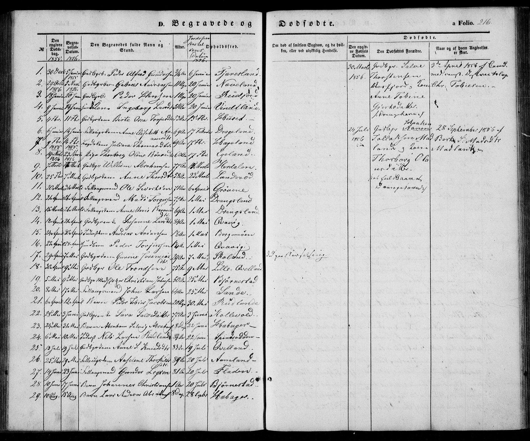 Lyngdal sokneprestkontor, SAK/1111-0029/F/Fa/Fac/L0009: Parish register (official) no. A 9, 1852-1864, p. 216