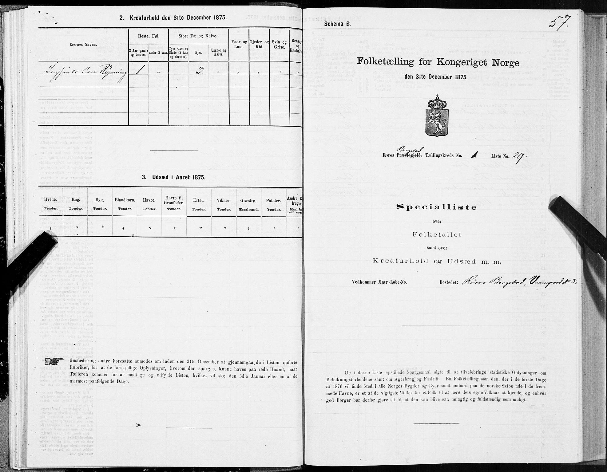 SAT, 1875 census for 1640P Røros, 1875, p. 1057