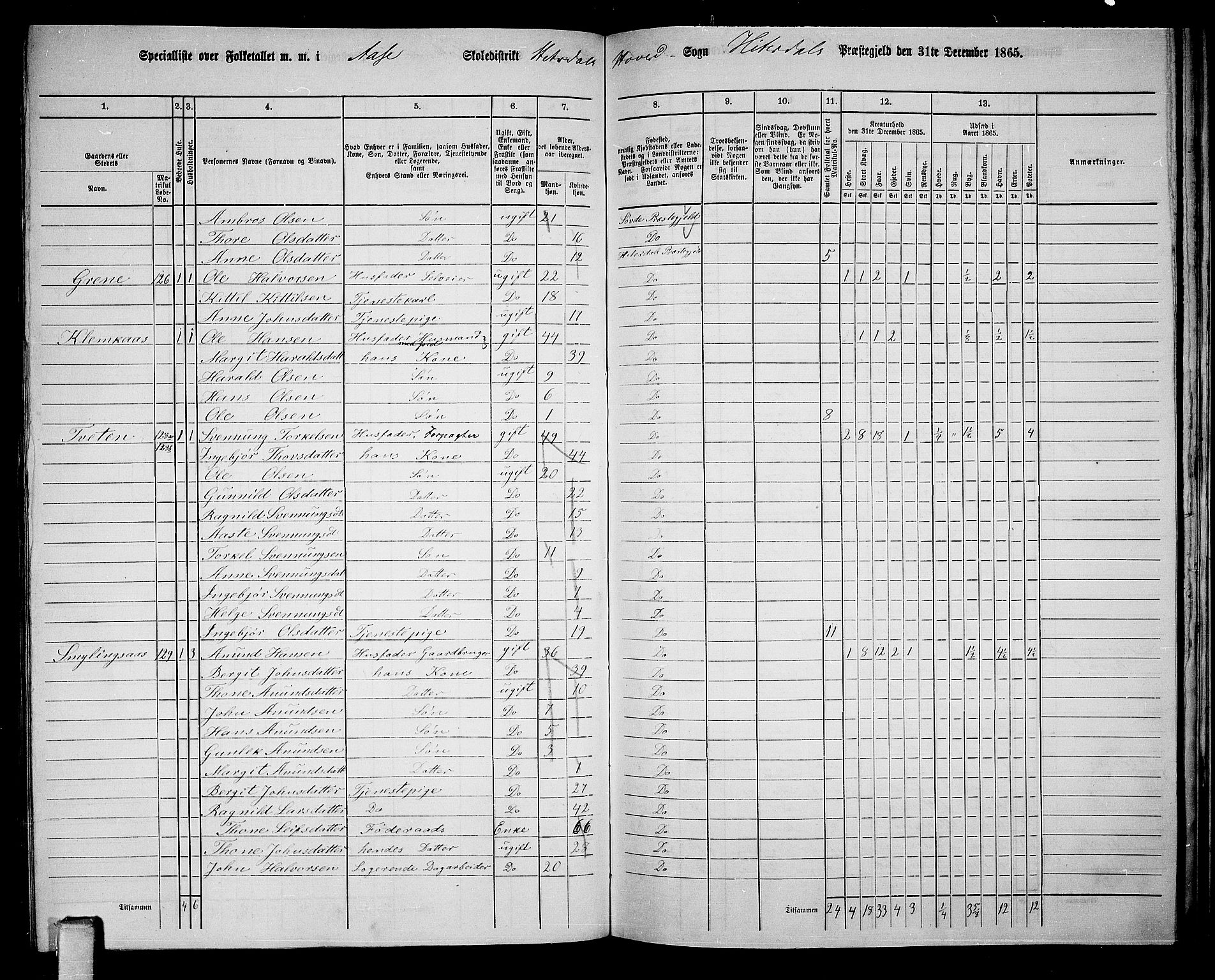 RA, 1865 census for Heddal, 1865, p. 110