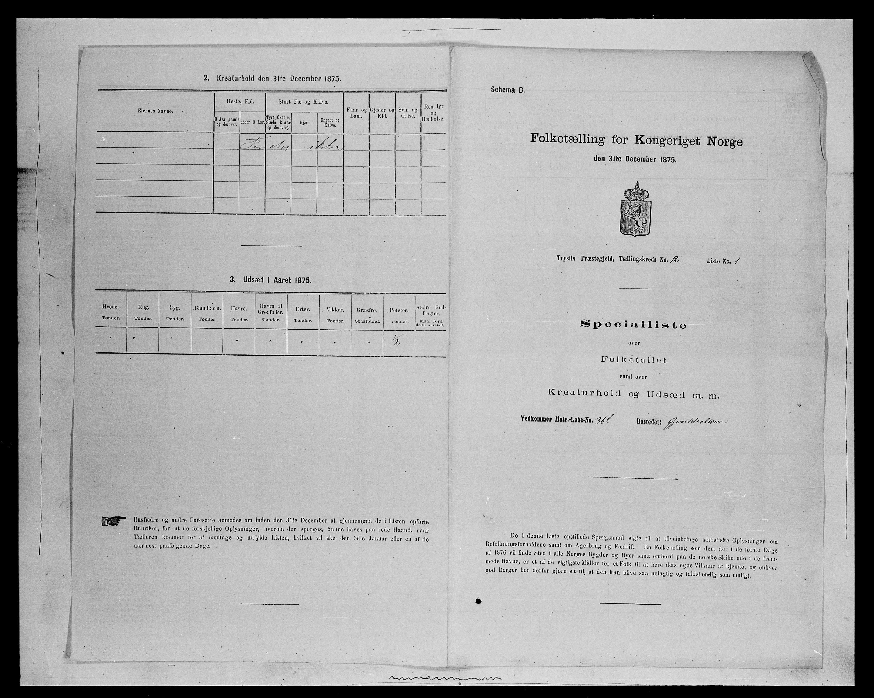 SAH, 1875 census for 0428P Trysil, 1875, p. 1326