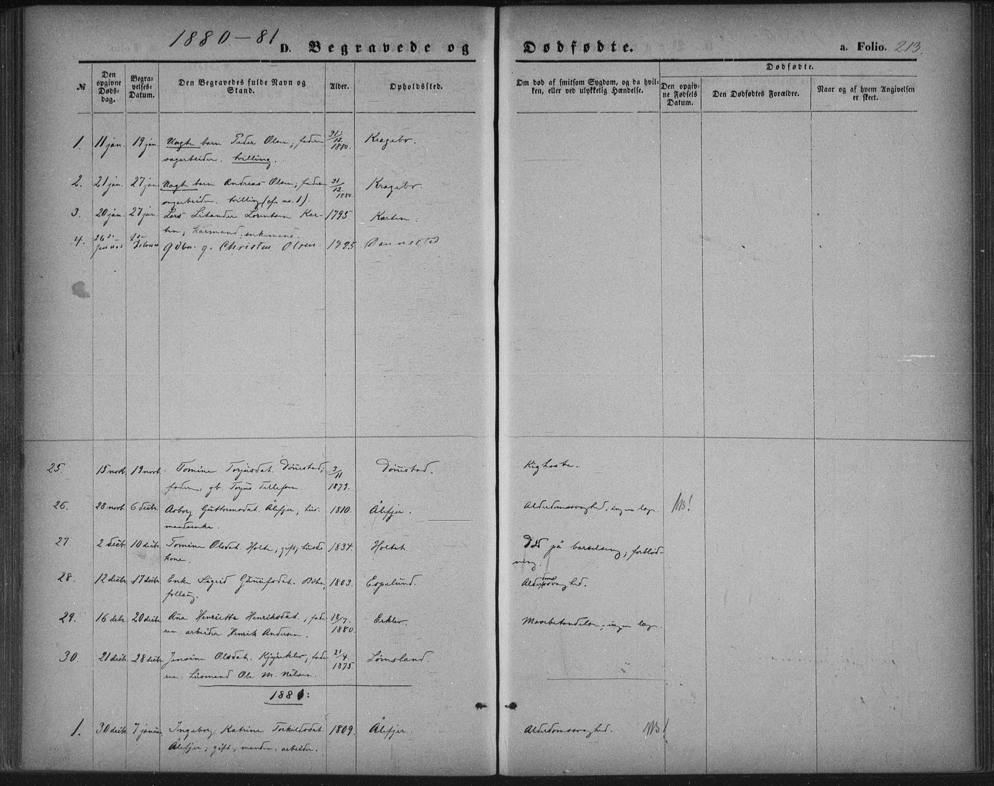 Tveit sokneprestkontor, SAK/1111-0043/F/Fa/L0006: Parish register (official) no. A 6, 1872-1886, p. 213
