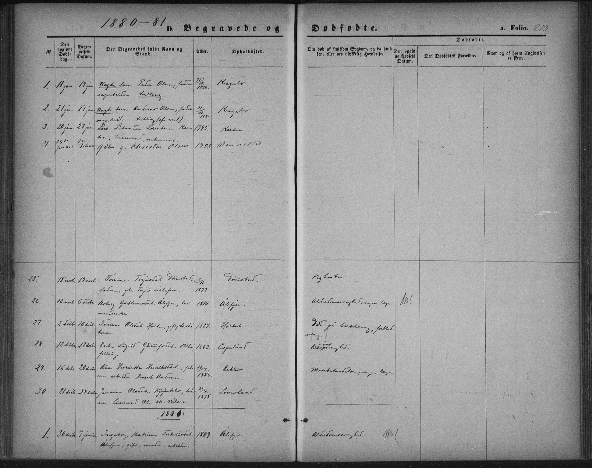 Tveit sokneprestkontor, AV/SAK-1111-0043/F/Fa/L0006: Parish register (official) no. A 6, 1872-1886, p. 213