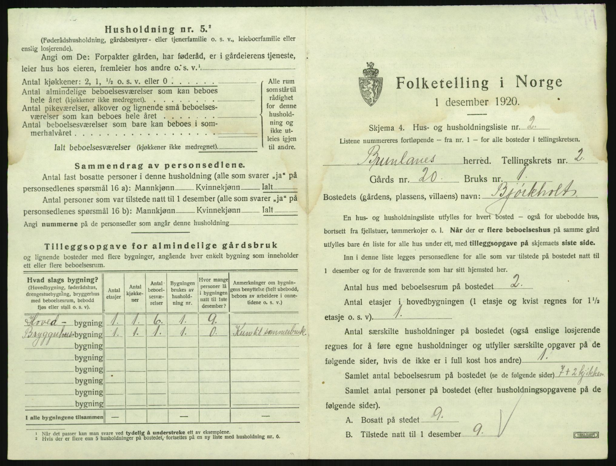 SAKO, 1920 census for Brunlanes, 1920, p. 315