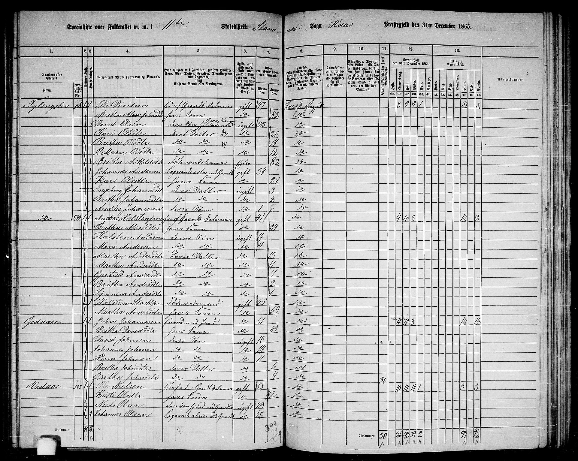 RA, 1865 census for Haus, 1865, p. 225