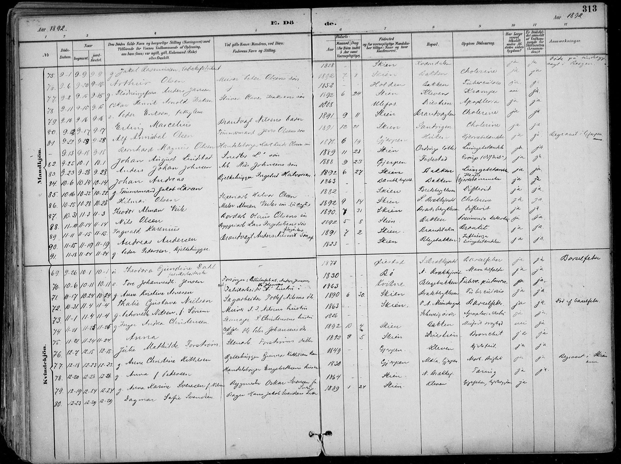 Skien kirkebøker, AV/SAKO-A-302/F/Fa/L0010: Parish register (official) no. 10, 1891-1899, p. 313