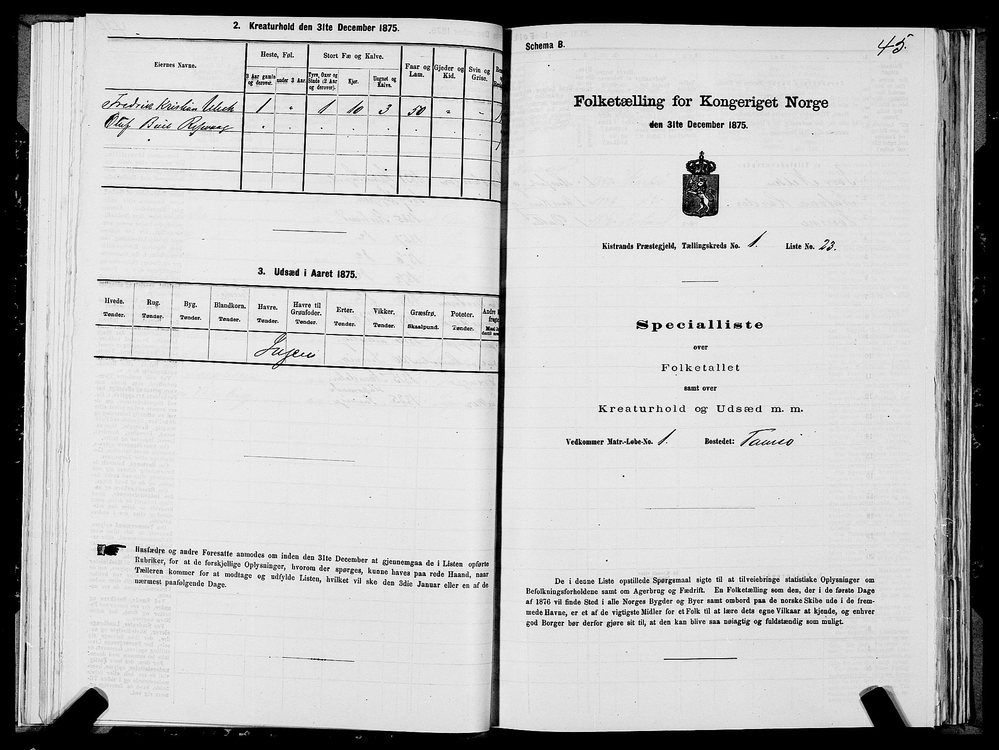 SATØ, 1875 census for 2020P Kistrand, 1875, p. 1045