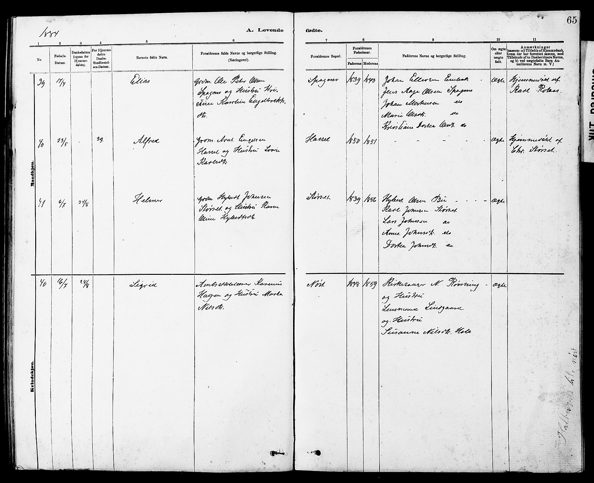 Ministerialprotokoller, klokkerbøker og fødselsregistre - Sør-Trøndelag, AV/SAT-A-1456/647/L0636: Parish register (copy) no. 647C01, 1881-1884, p. 65