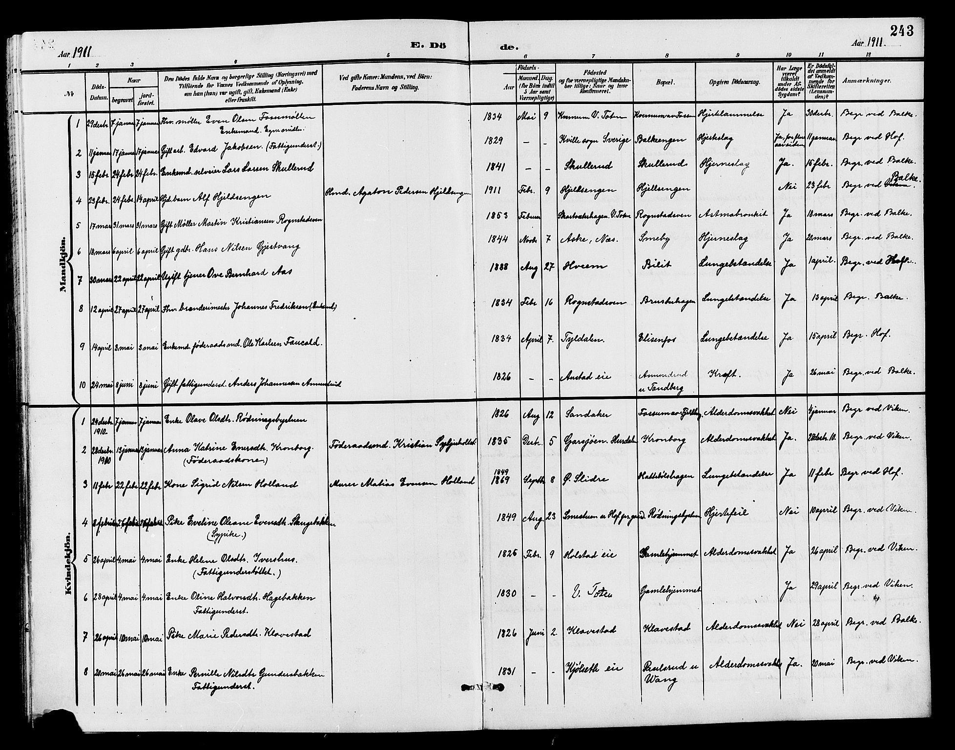 Østre Toten prestekontor, SAH/PREST-104/H/Ha/Hab/L0007: Parish register (copy) no. 7, 1901-1912, p. 243