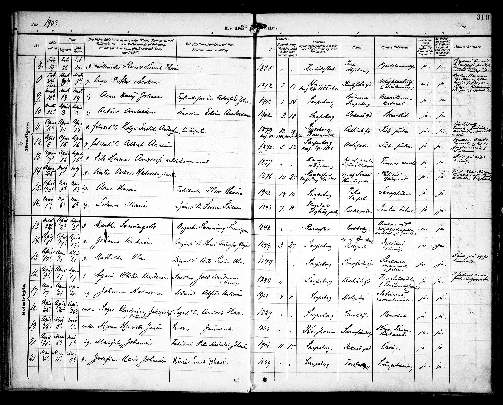 Sarpsborg prestekontor Kirkebøker, AV/SAO-A-2006/F/Fa/L0006: Parish register (official) no. 6, 1900-1909, p. 310