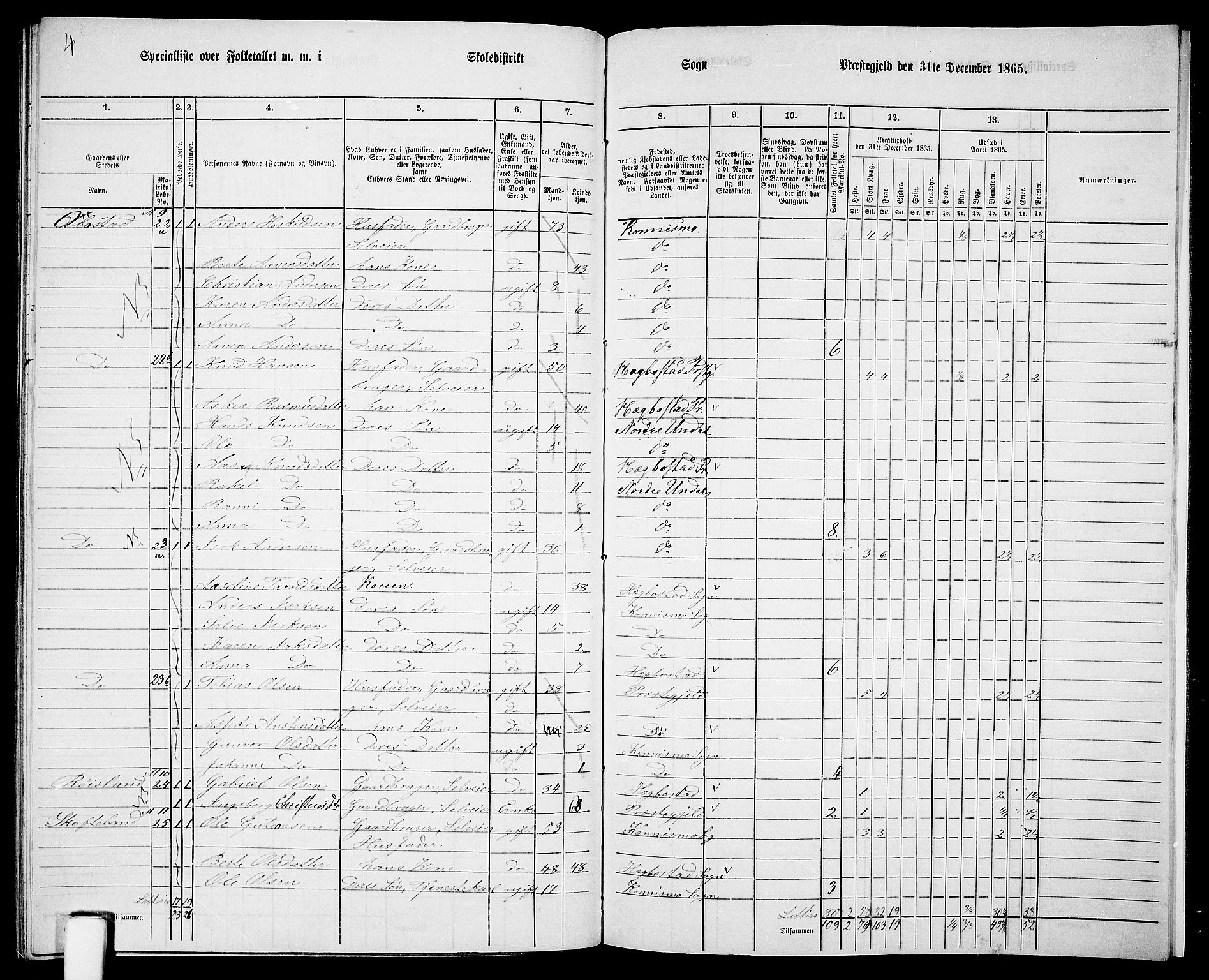 RA, 1865 census for Nord-Audnedal, 1865, p. 107