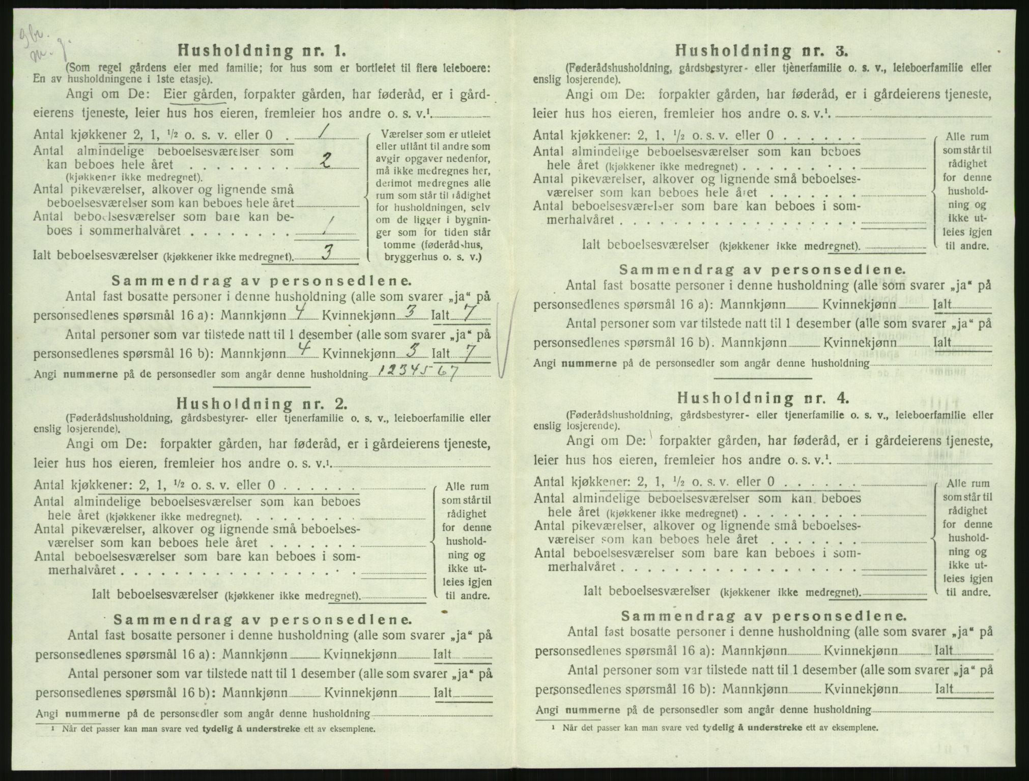 SAK, 1920 census for Hornnes, 1920, p. 386