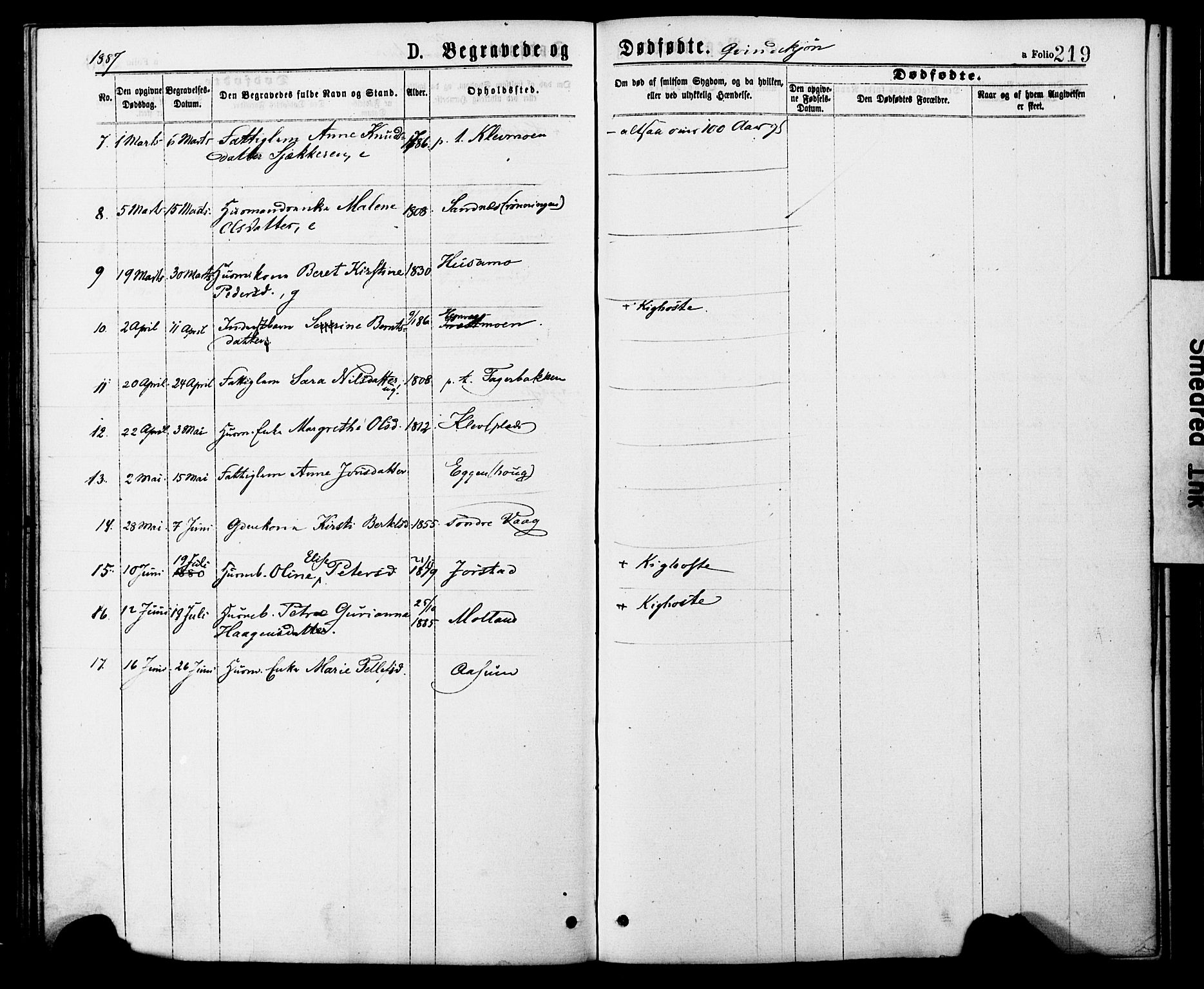 Ministerialprotokoller, klokkerbøker og fødselsregistre - Nord-Trøndelag, AV/SAT-A-1458/749/L0473: Parish register (official) no. 749A07, 1873-1887, p. 219