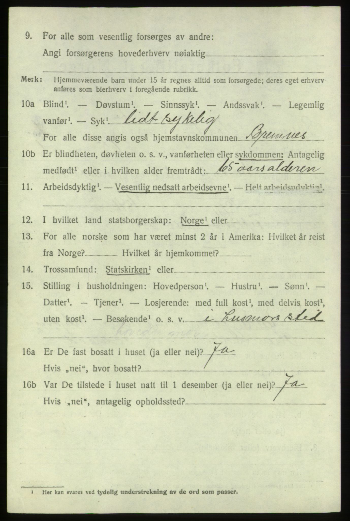 SAB, 1920 census for Bremnes, 1920, p. 1095