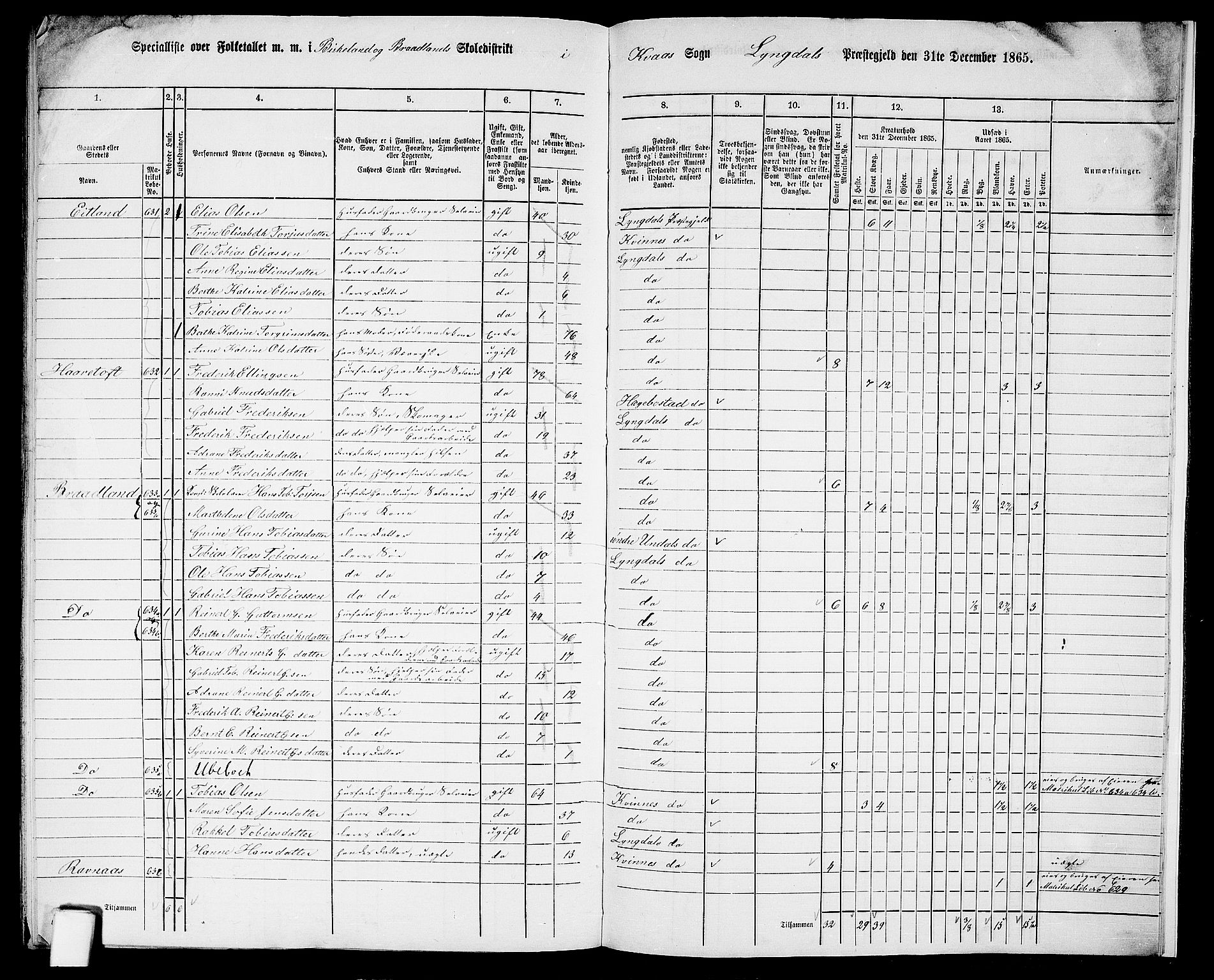 RA, 1865 census for Lyngdal, 1865, p. 252