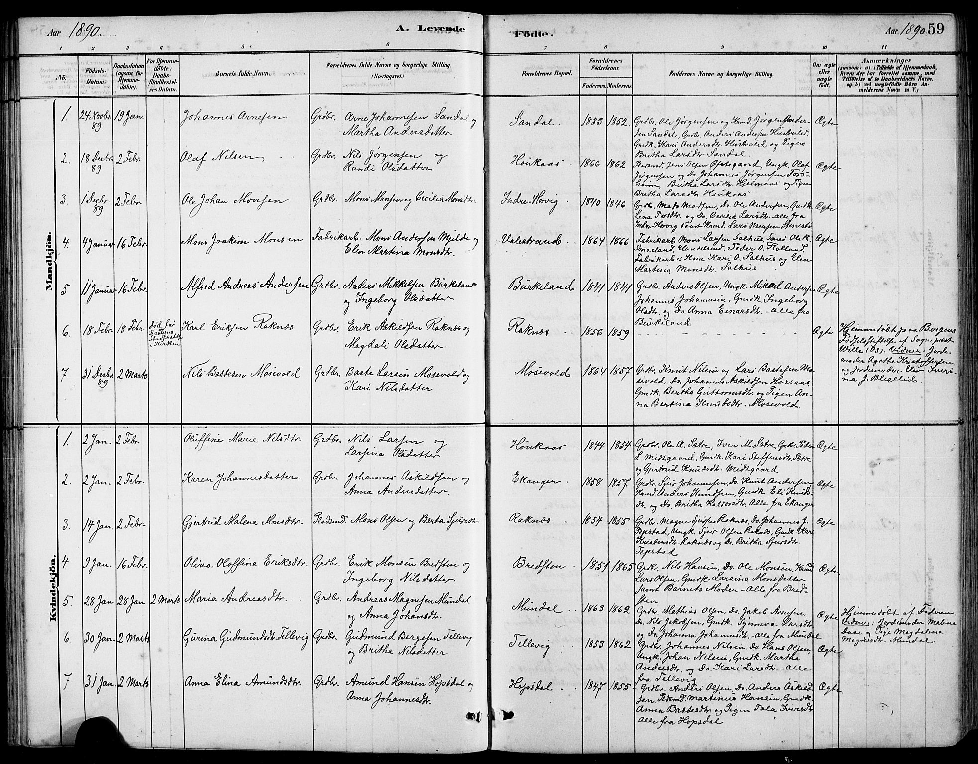 Hamre sokneprestembete, SAB/A-75501/H/Ha/Hab: Parish register (copy) no. B 3, 1881-1898, p. 59