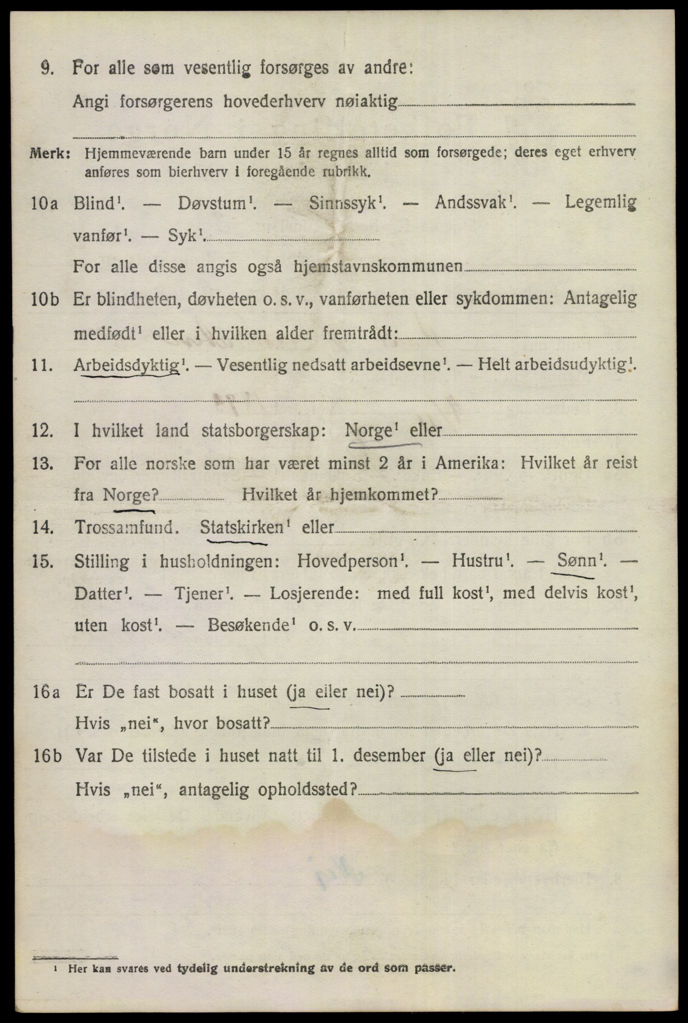 SAKO, 1920 census for Nes (Buskerud), 1920, p. 1621