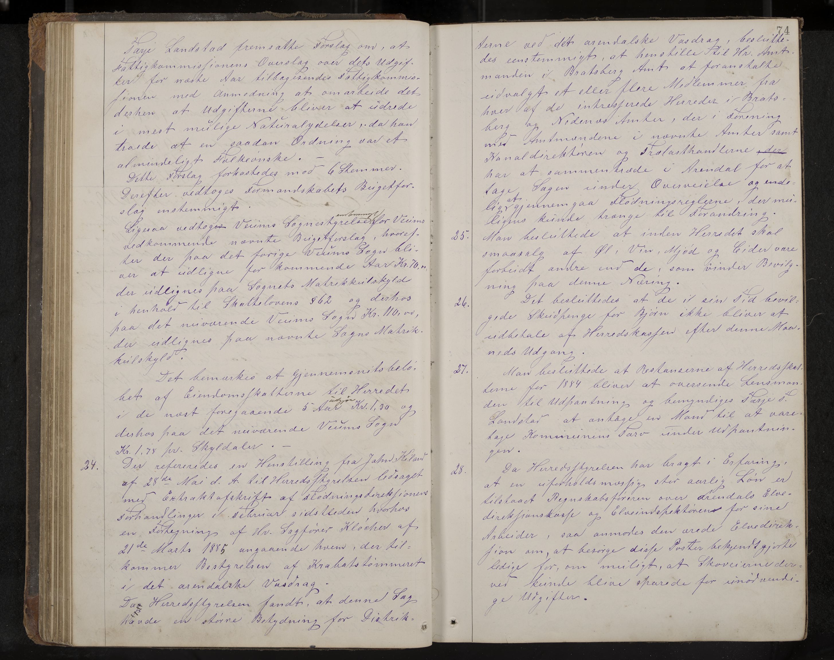 Fyresdal formannskap og sentraladministrasjon, IKAK/0831021-1/Aa/L0002: Møtebok, 1877-1894, p. 74