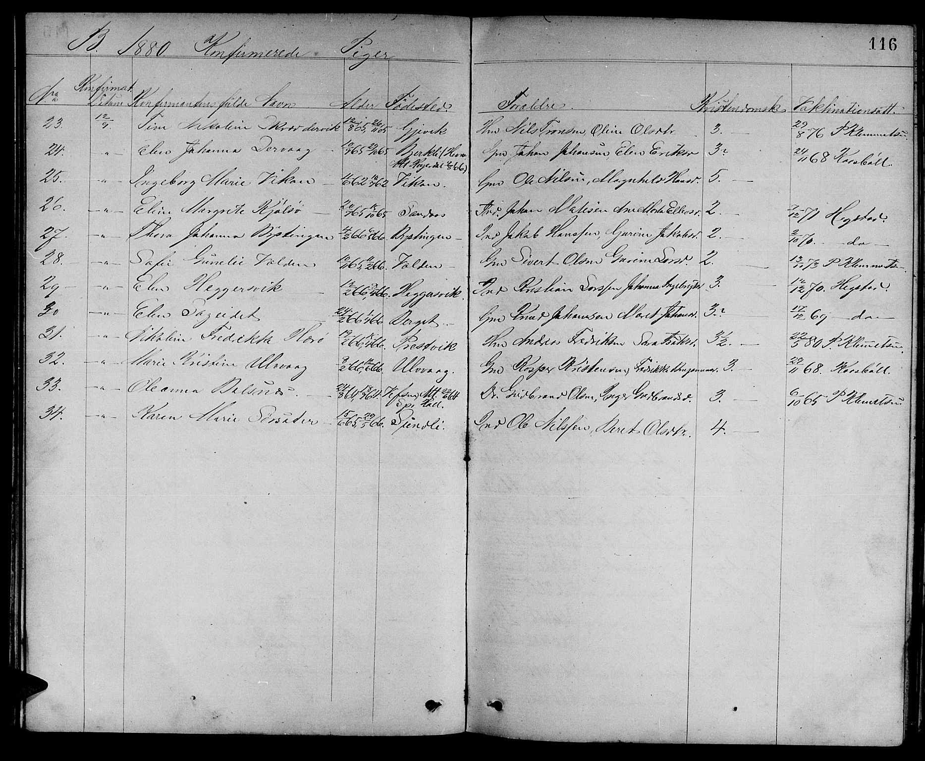 Ministerialprotokoller, klokkerbøker og fødselsregistre - Sør-Trøndelag, AV/SAT-A-1456/637/L0561: Parish register (copy) no. 637C02, 1873-1882, p. 116