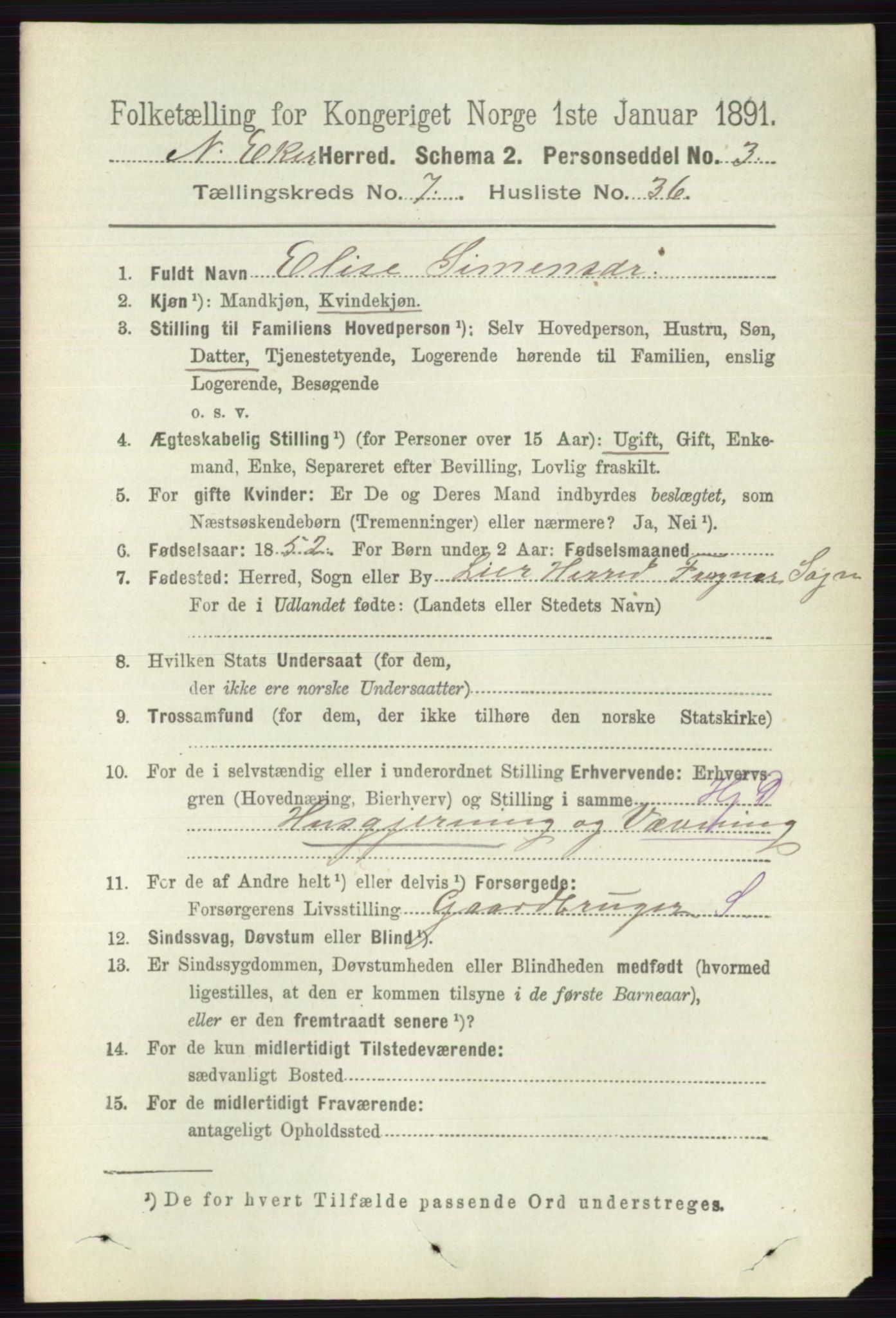 RA, 1891 census for 0625 Nedre Eiker, 1891, p. 3619