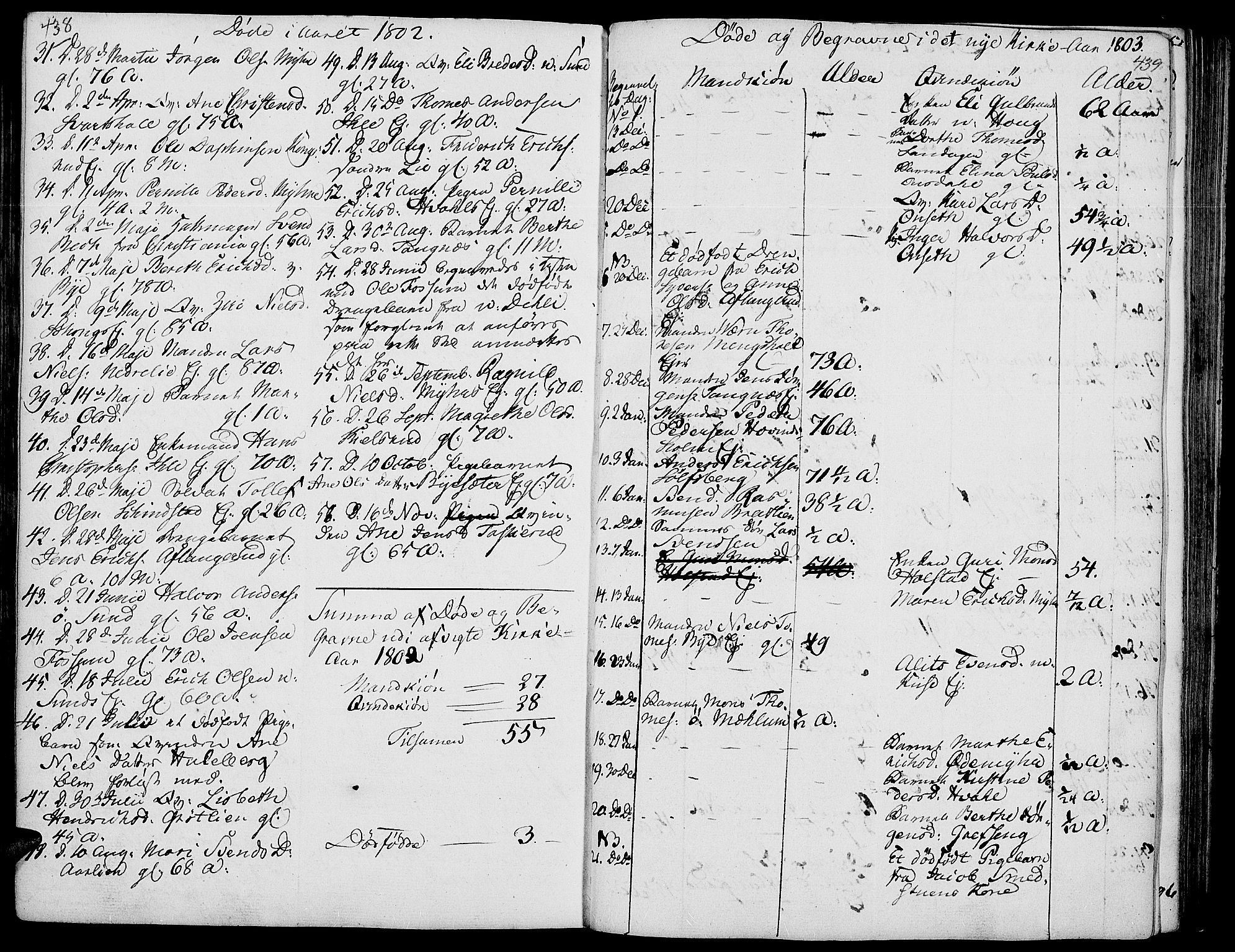 Nes prestekontor, Hedmark, AV/SAH-PREST-020/K/Ka/L0001: Parish register (official) no. 1, 1802-1814, p. 438-439