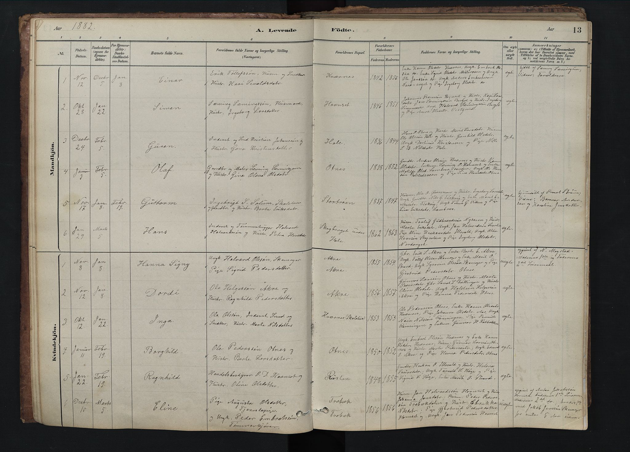 Rendalen prestekontor, SAH/PREST-054/H/Ha/Hab/L0009: Parish register (copy) no. 9, 1879-1902, p. 13
