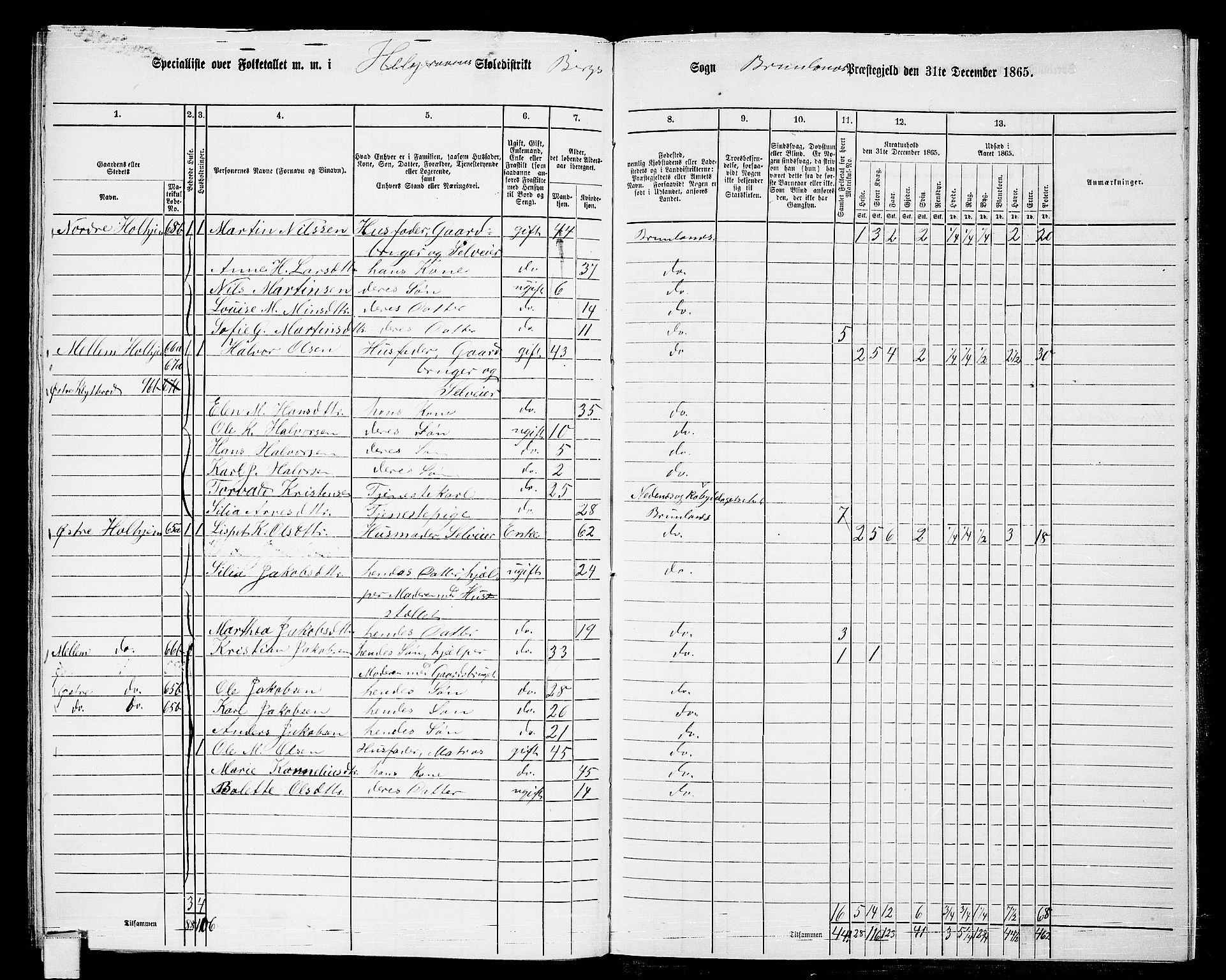 RA, 1865 census for Brunlanes, 1865, p. 177