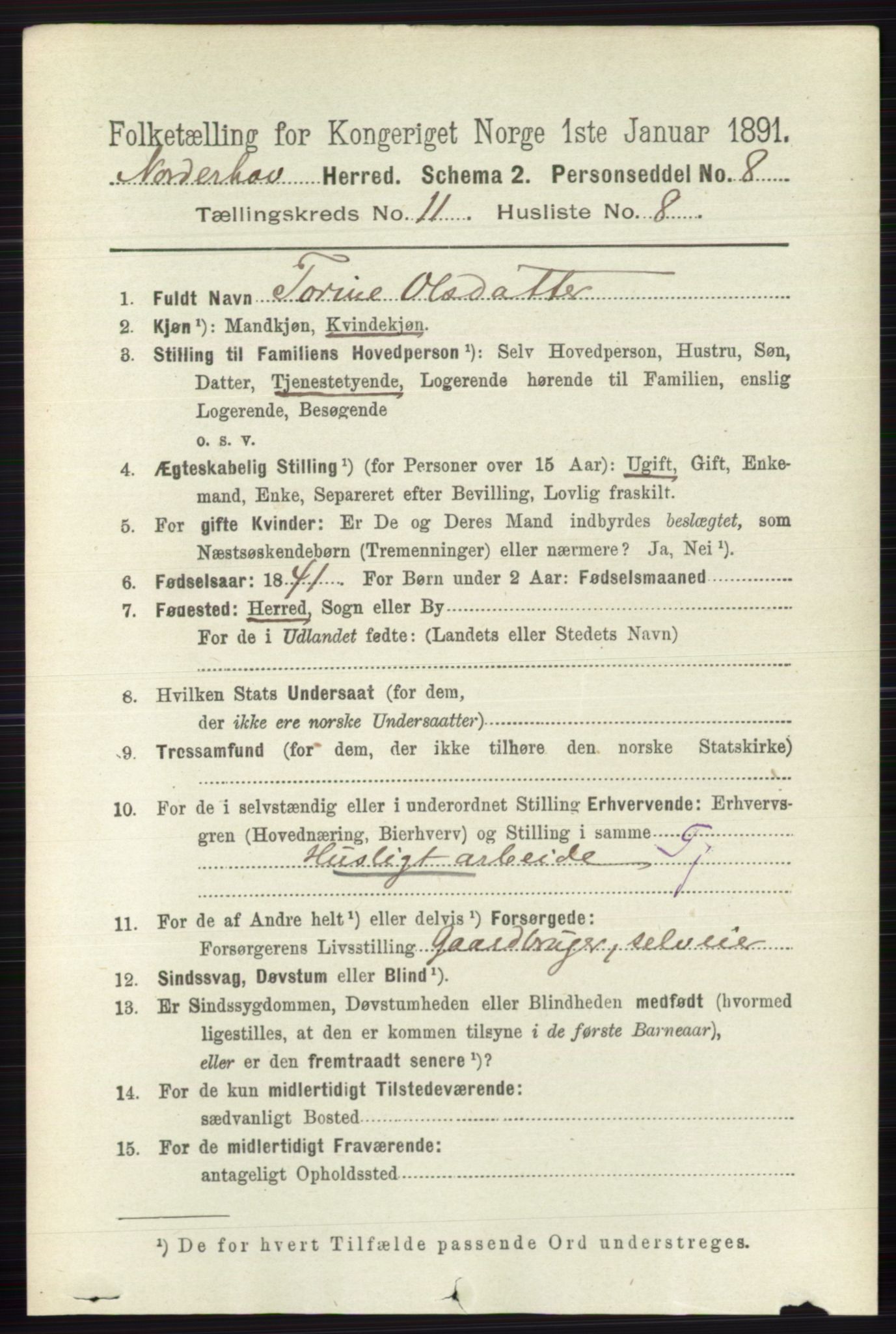RA, 1891 census for 0613 Norderhov, 1891, p. 8105