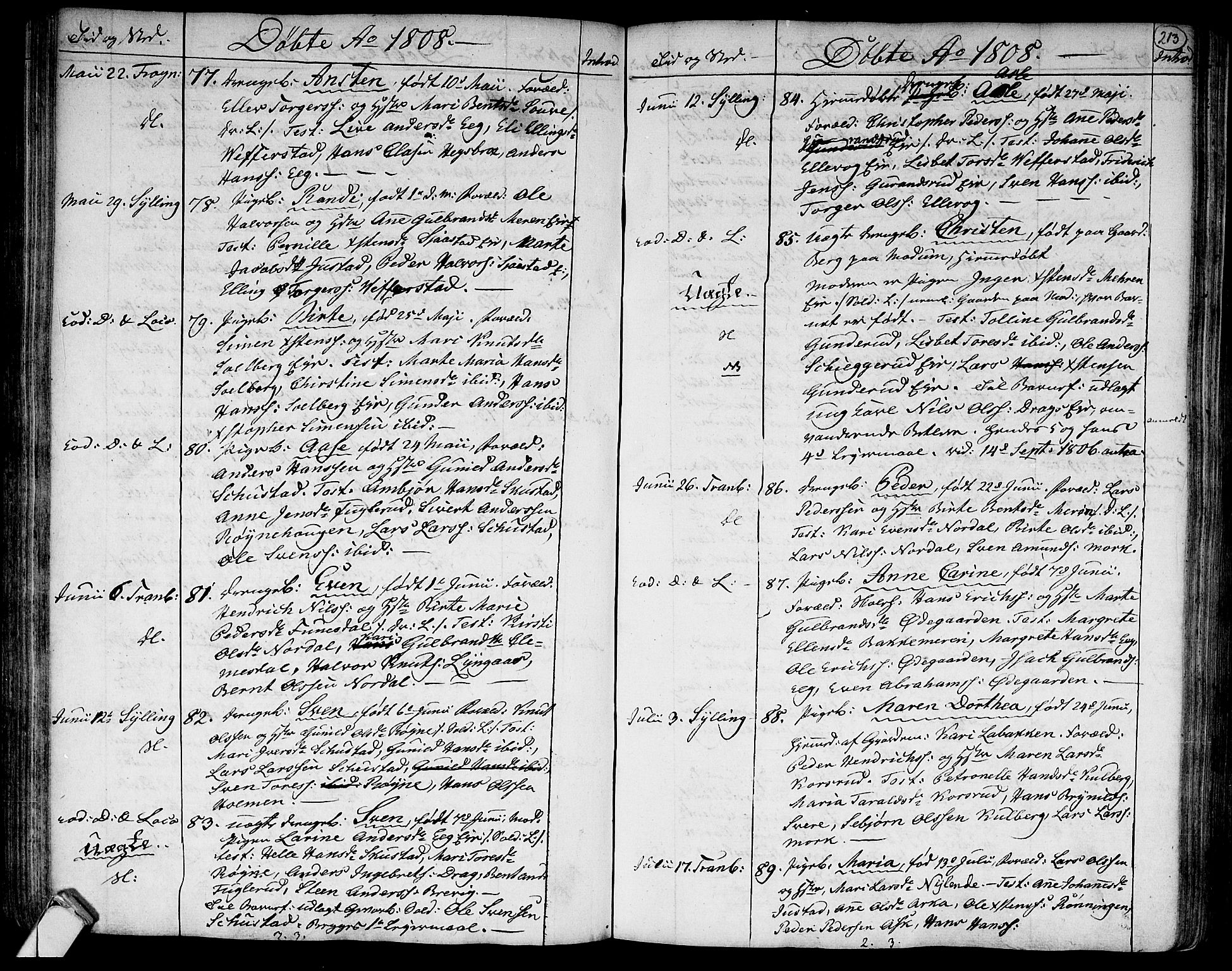 Lier kirkebøker, SAKO/A-230/F/Fa/L0007: Parish register (official) no. I 7, 1794-1813, p. 213