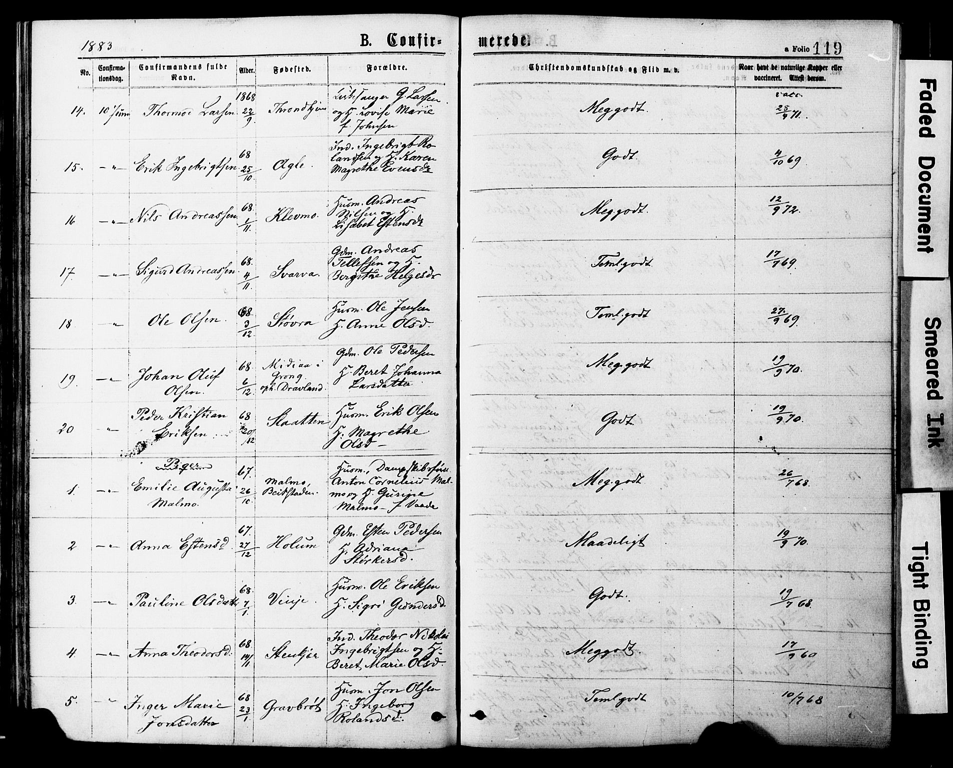 Ministerialprotokoller, klokkerbøker og fødselsregistre - Nord-Trøndelag, AV/SAT-A-1458/749/L0473: Parish register (official) no. 749A07, 1873-1887, p. 119