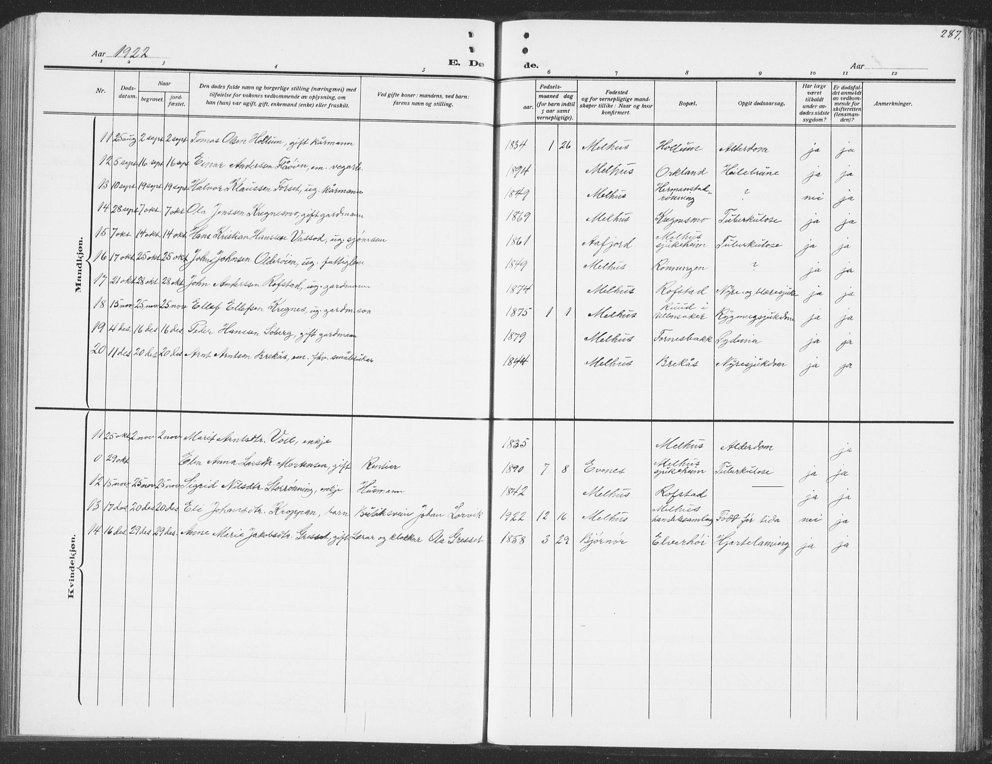 Ministerialprotokoller, klokkerbøker og fødselsregistre - Sør-Trøndelag, AV/SAT-A-1456/691/L1095: Parish register (copy) no. 691C06, 1912-1933, p. 287