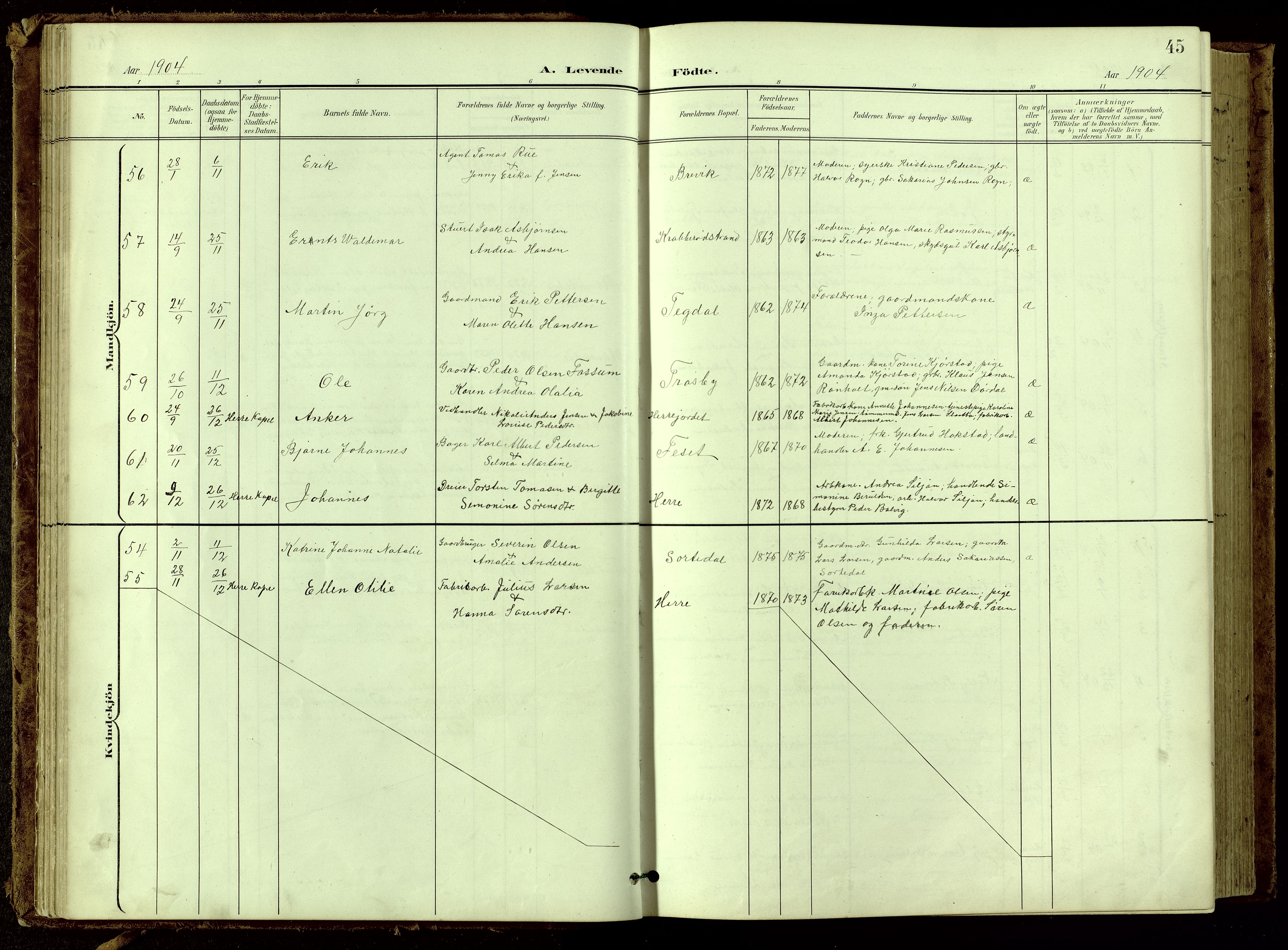 Bamble kirkebøker, SAKO/A-253/G/Ga/L0010: Parish register (copy) no. I 10, 1901-1919, p. 45