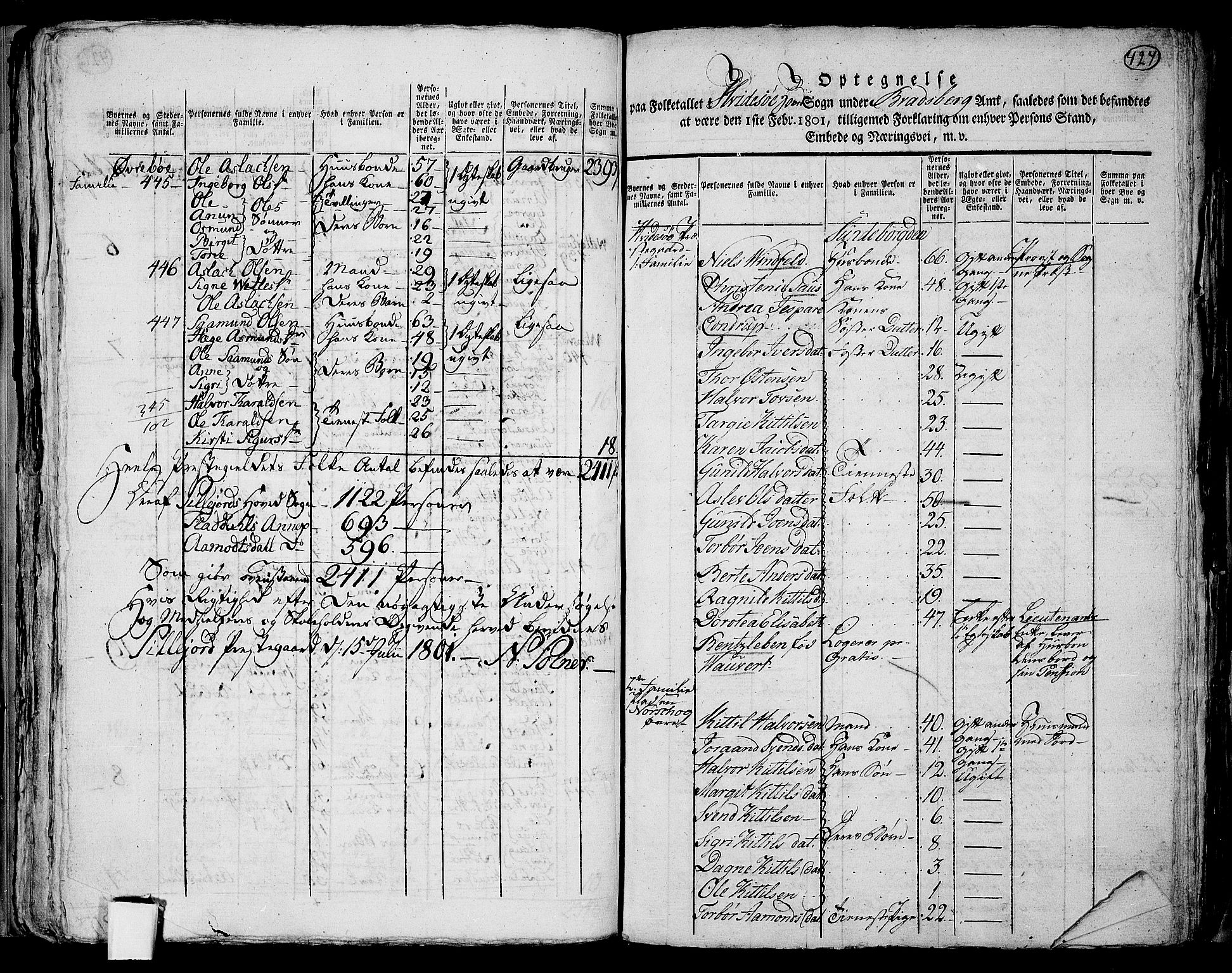 RA, 1801 census for 0828P Seljord, 1801, p. 426b-427a