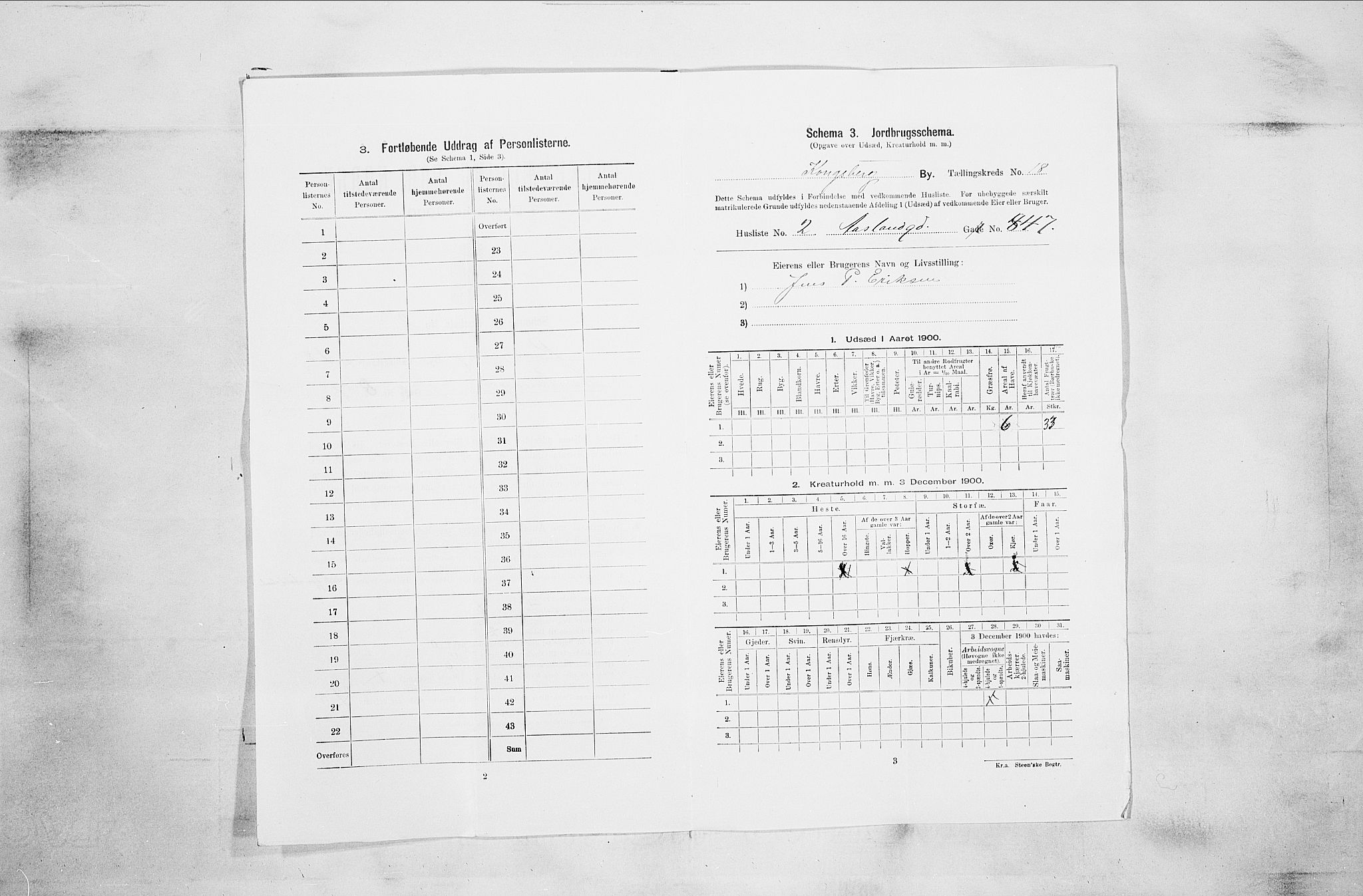 RA, 1900 census for Kongsberg, 1900, p. 3583