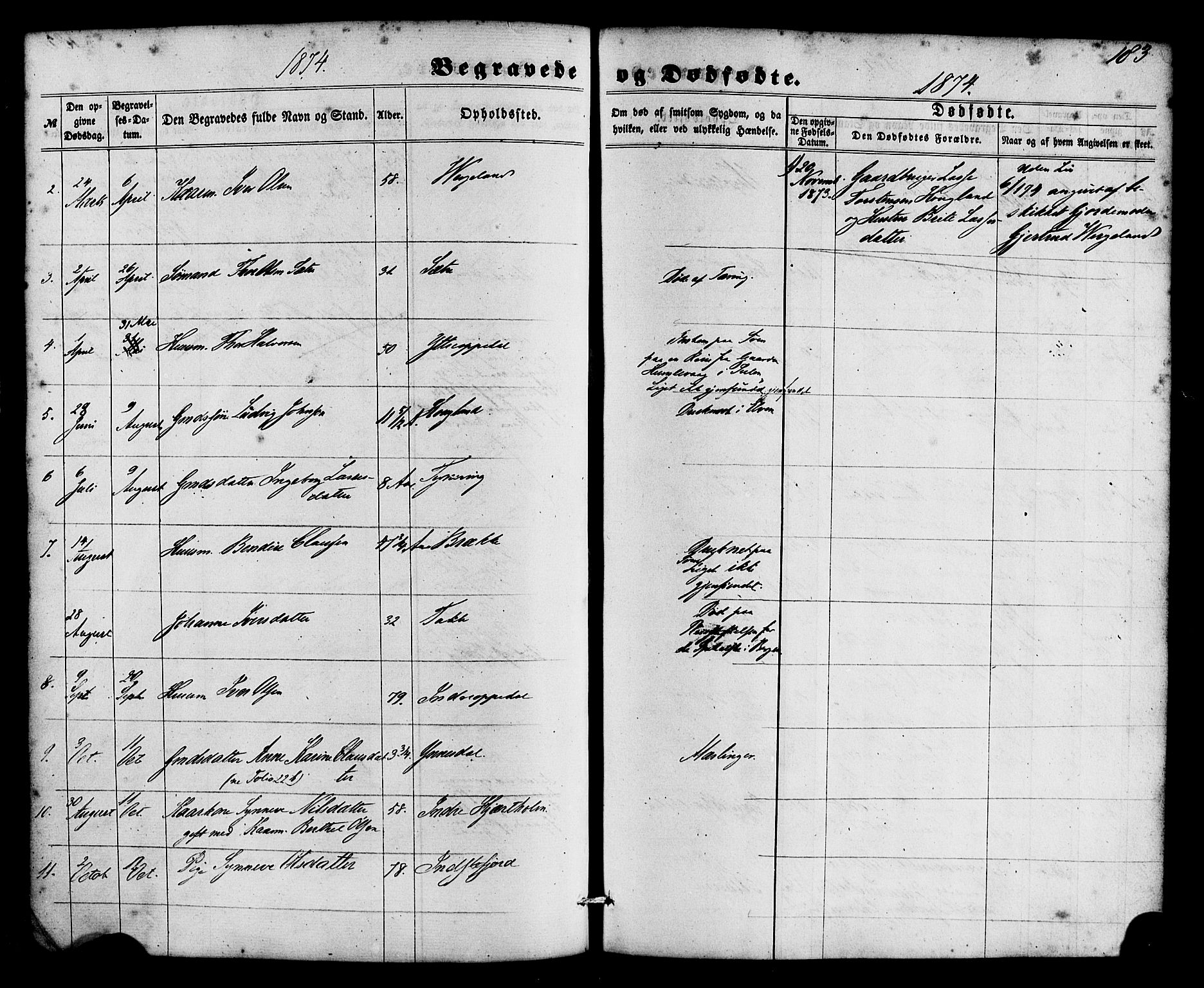 Gulen sokneprestembete, SAB/A-80201/H/Haa/Haac/L0001: Parish register (official) no. C 1, 1859-1881, p. 183