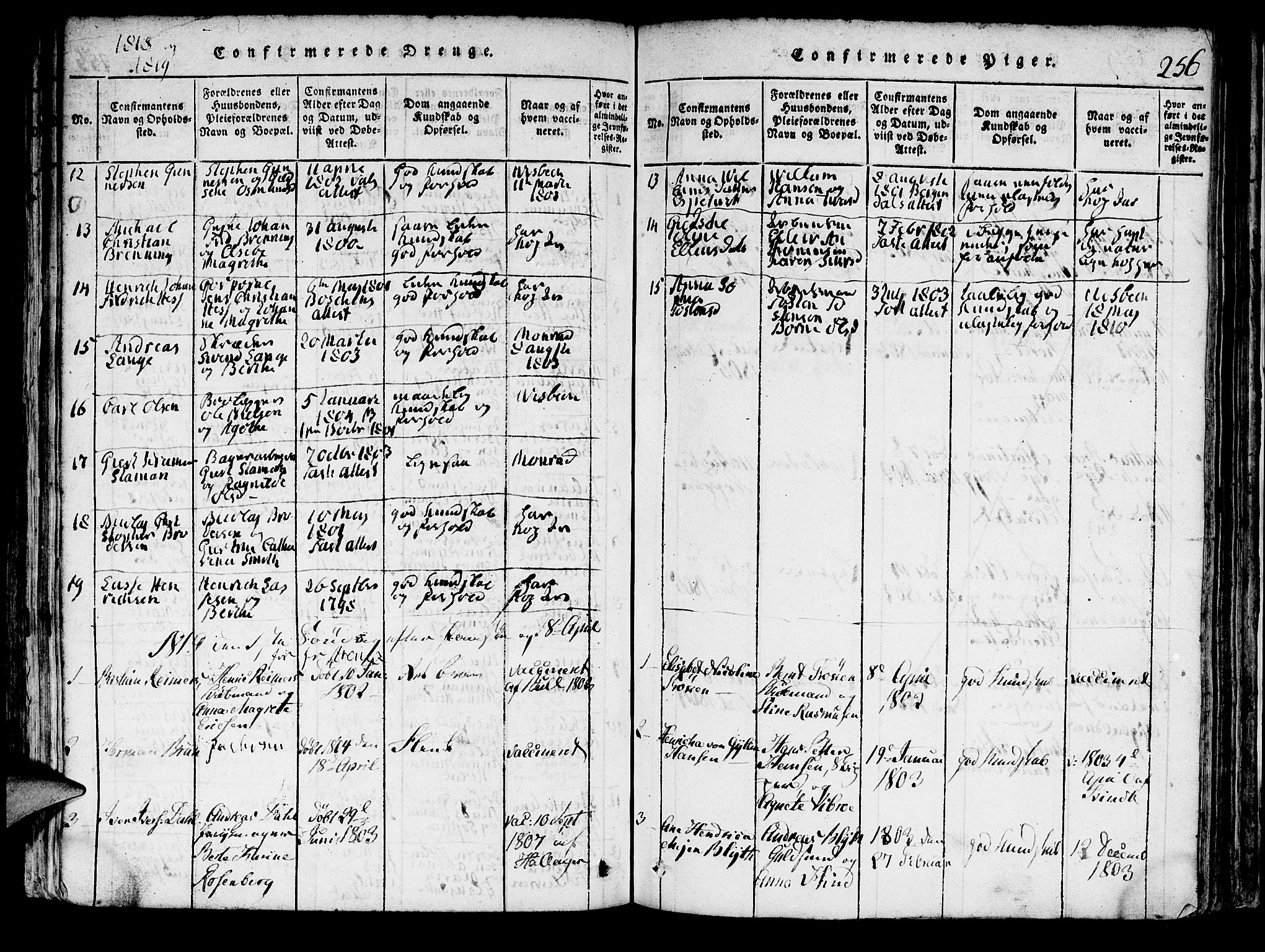Domkirken sokneprestembete, SAB/A-74801/H/Hab/L0001: Parish register (copy) no. A 1, 1816-1821, p. 256