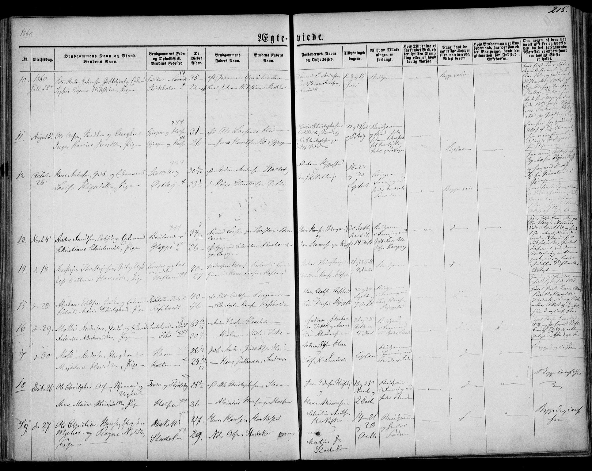 Tjølling kirkebøker, SAKO/A-60/F/Fa/L0007: Parish register (official) no. 7, 1860-1876, p. 215