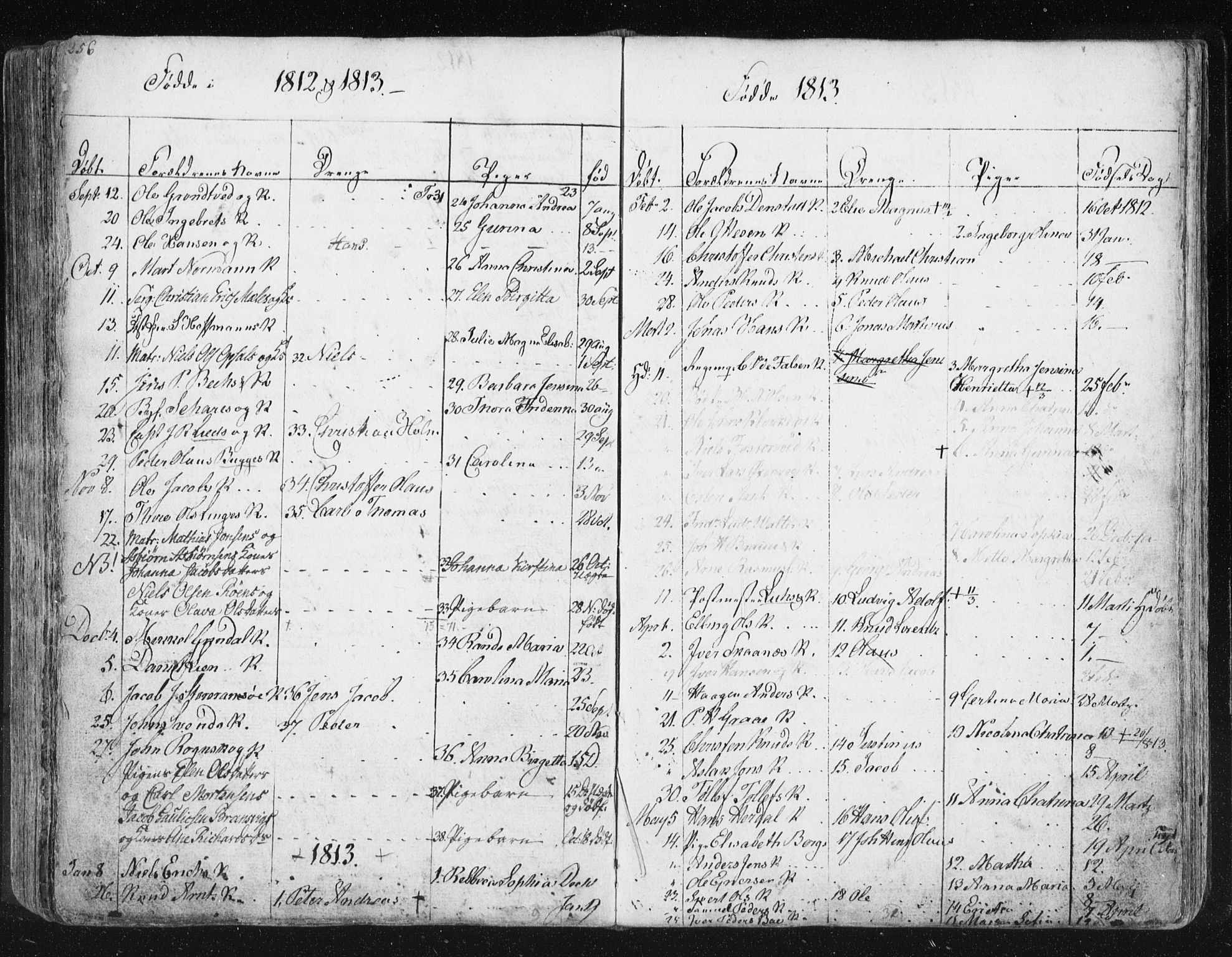 Ministerialprotokoller, klokkerbøker og fødselsregistre - Møre og Romsdal, SAT/A-1454/572/L0841: Parish register (official) no. 572A04, 1784-1819, p. 256