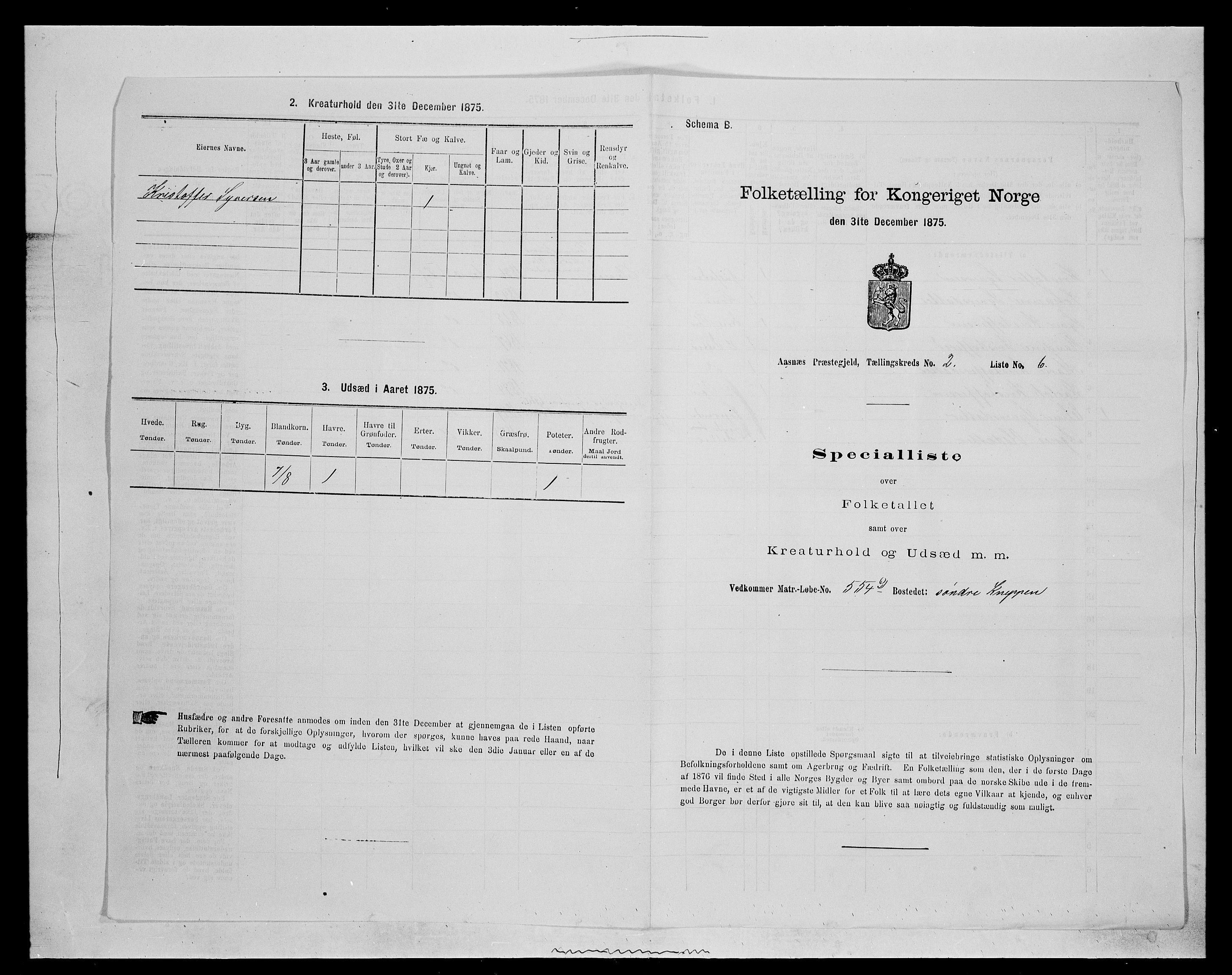 SAH, 1875 census for 0425P Åsnes, 1875, p. 161